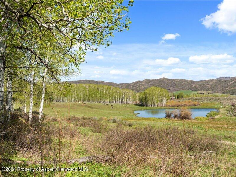 1333 W Buttermilk Road Aspen CO 81611