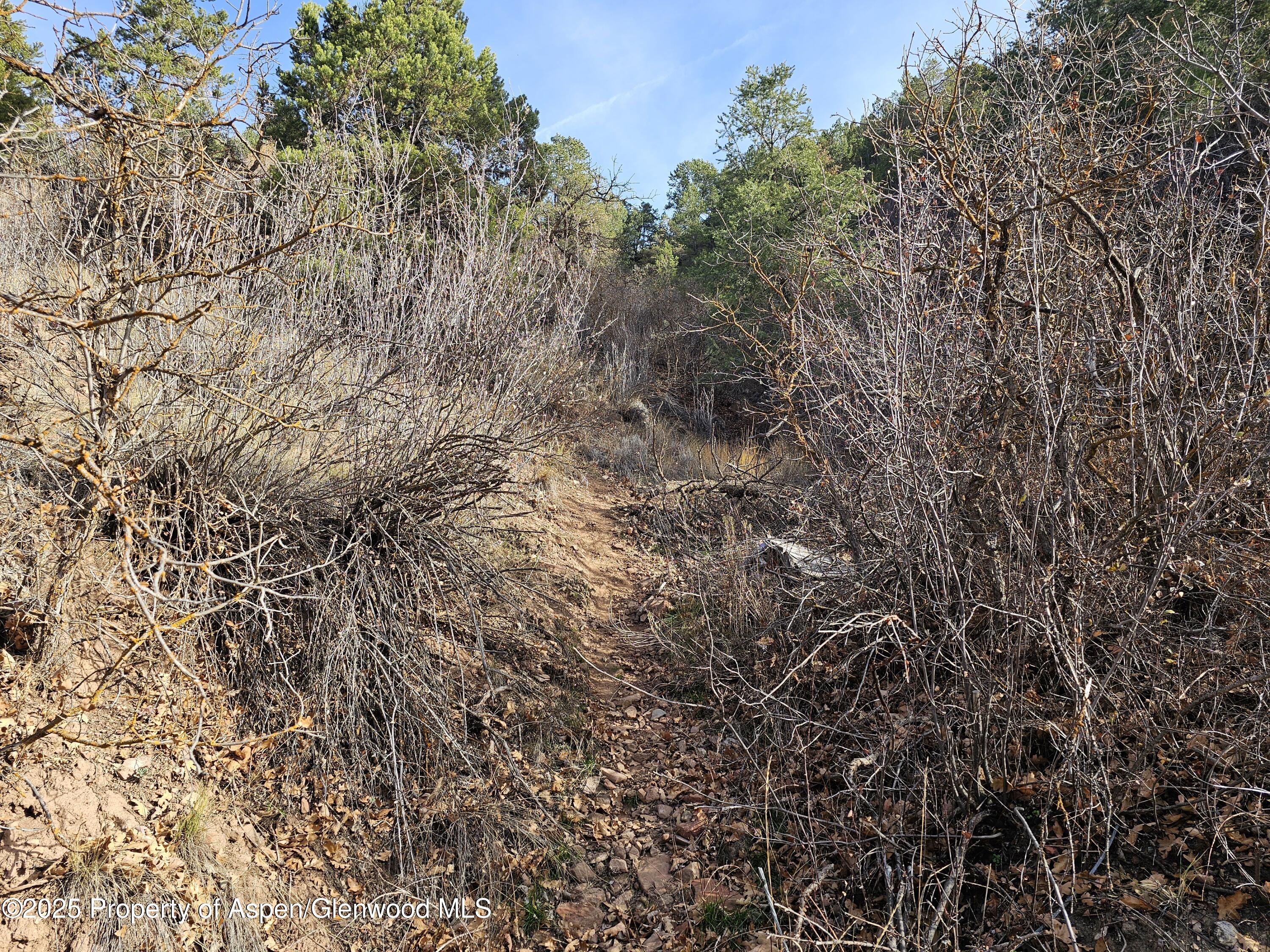 Tbd Various Glenwood Springs CO 81601