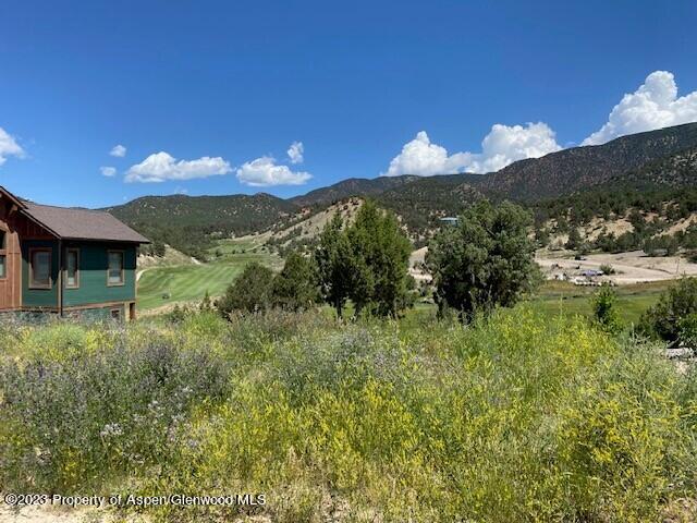 18 Stag Court New Castle CO 81647