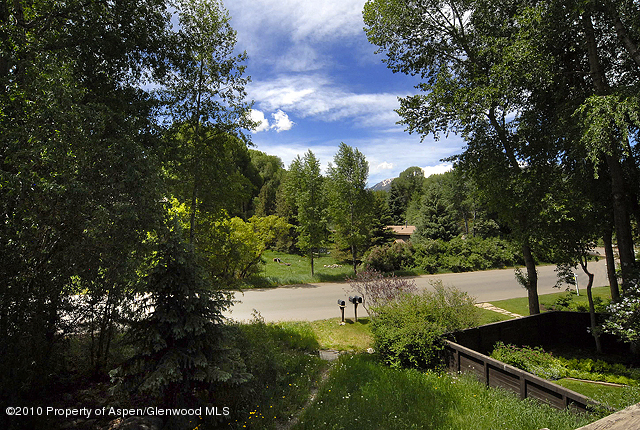 810 W Smuggler Street Aspen CO 81611