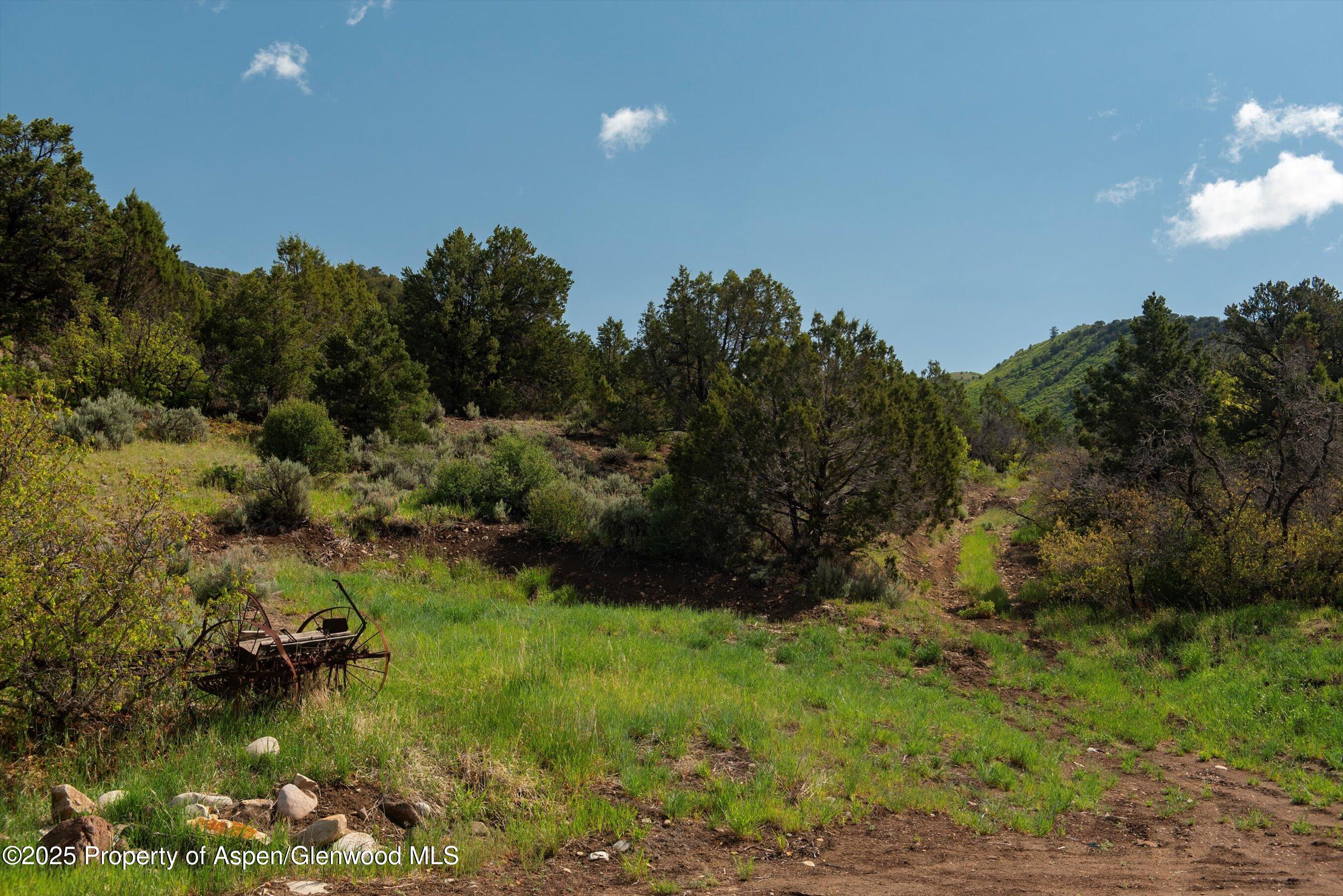 3691 E Sopris Creek Road Basalt CO 81621