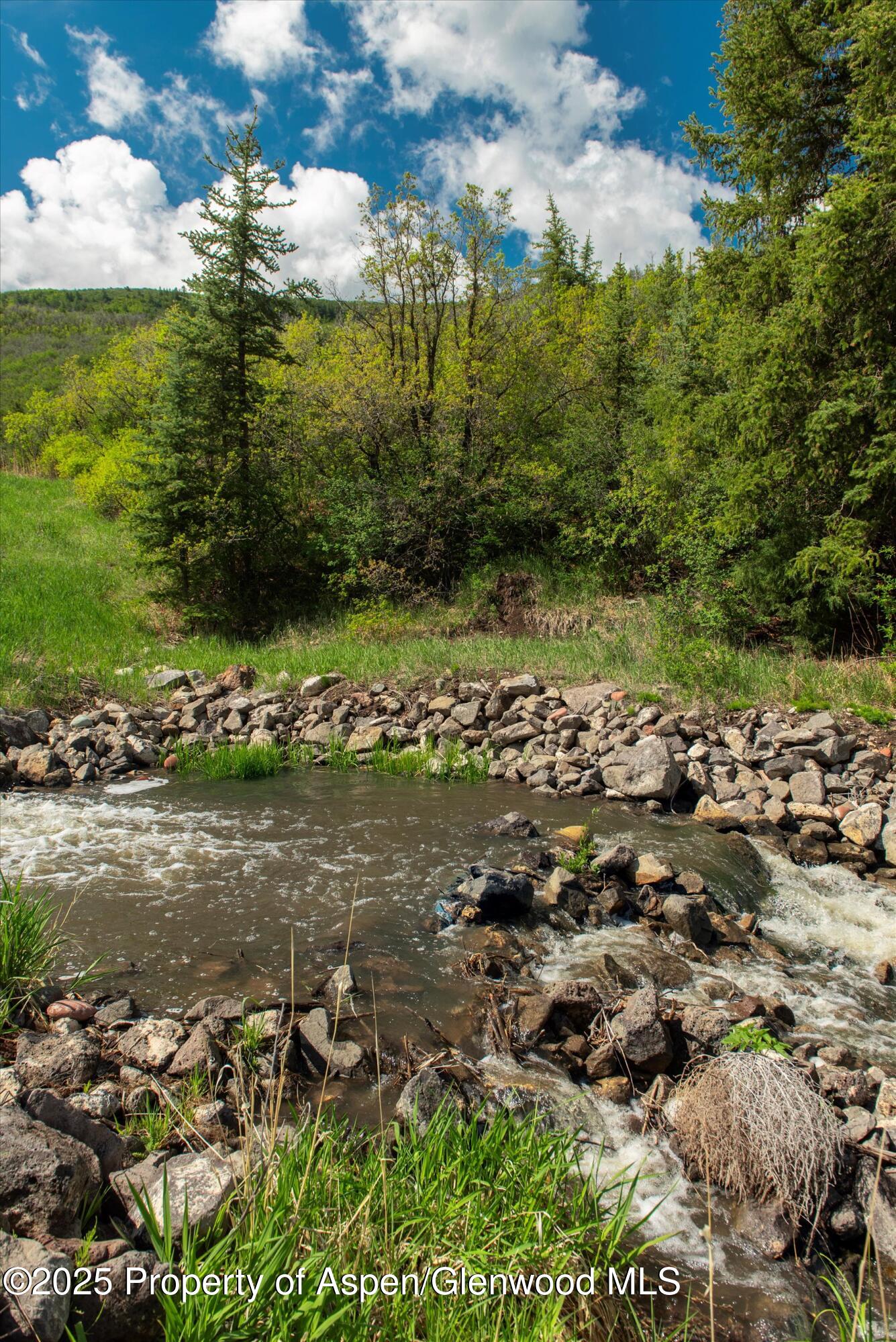 3691 E Sopris Creek Road Basalt CO 81621