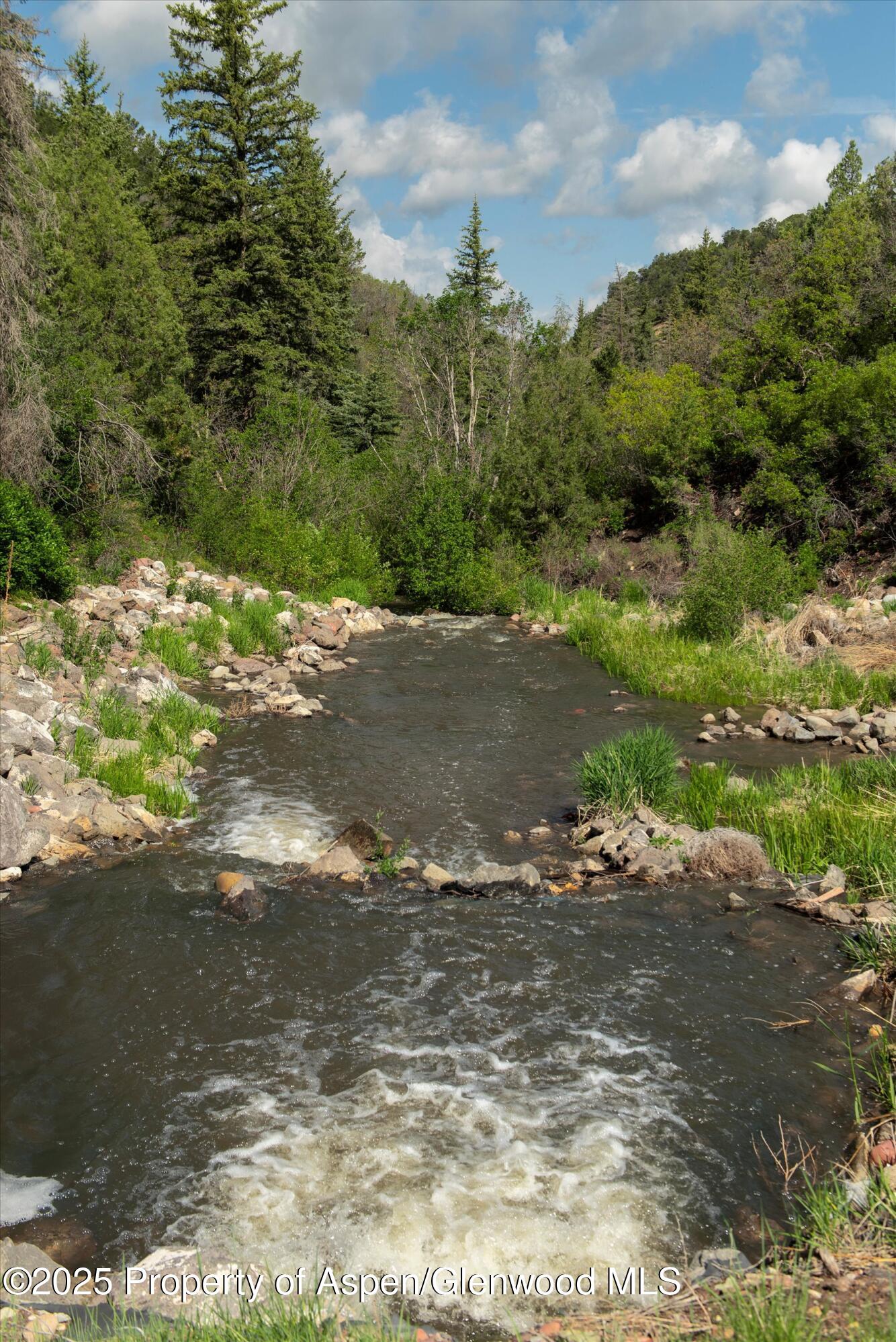 3691 E Sopris Creek Road Basalt CO 81621