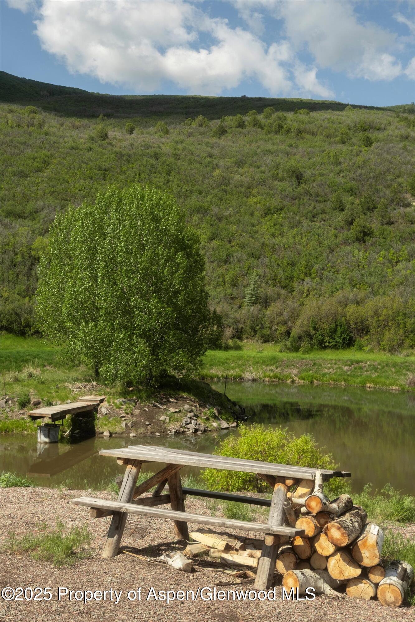 3691 E Sopris Creek Road Basalt CO 81621