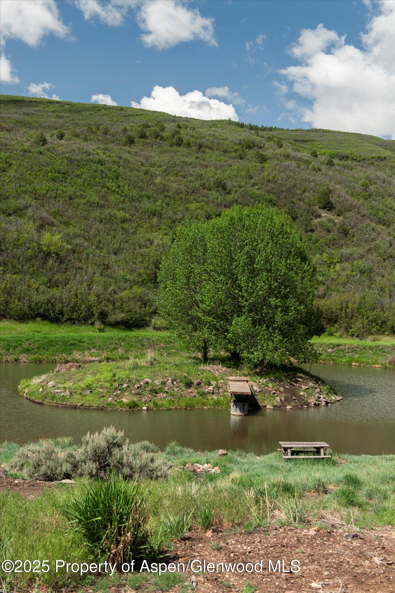 3691 E Sopris Creek Road Basalt CO 81621