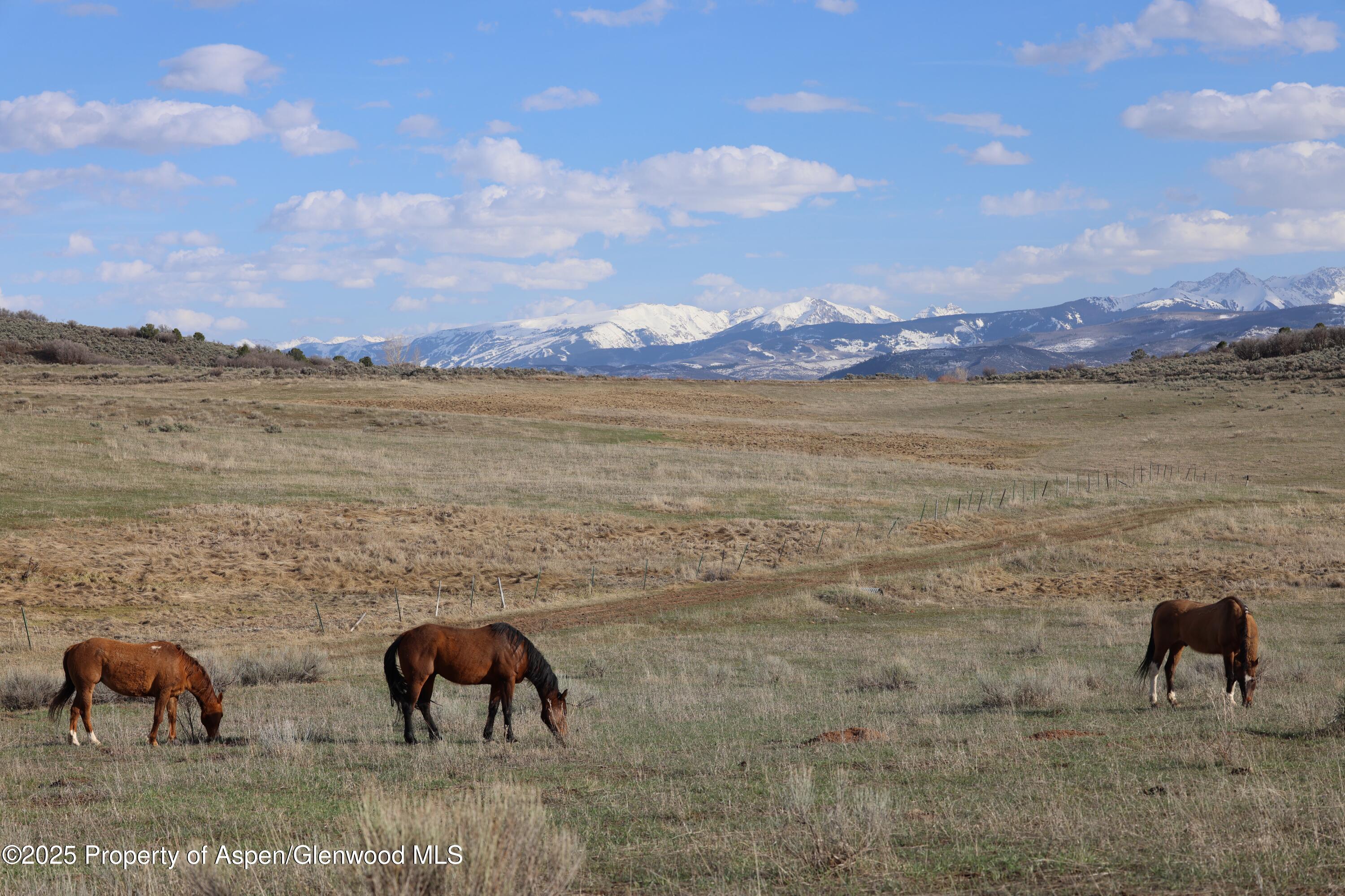 Tbd County Road 100 Carbondale CO 81623