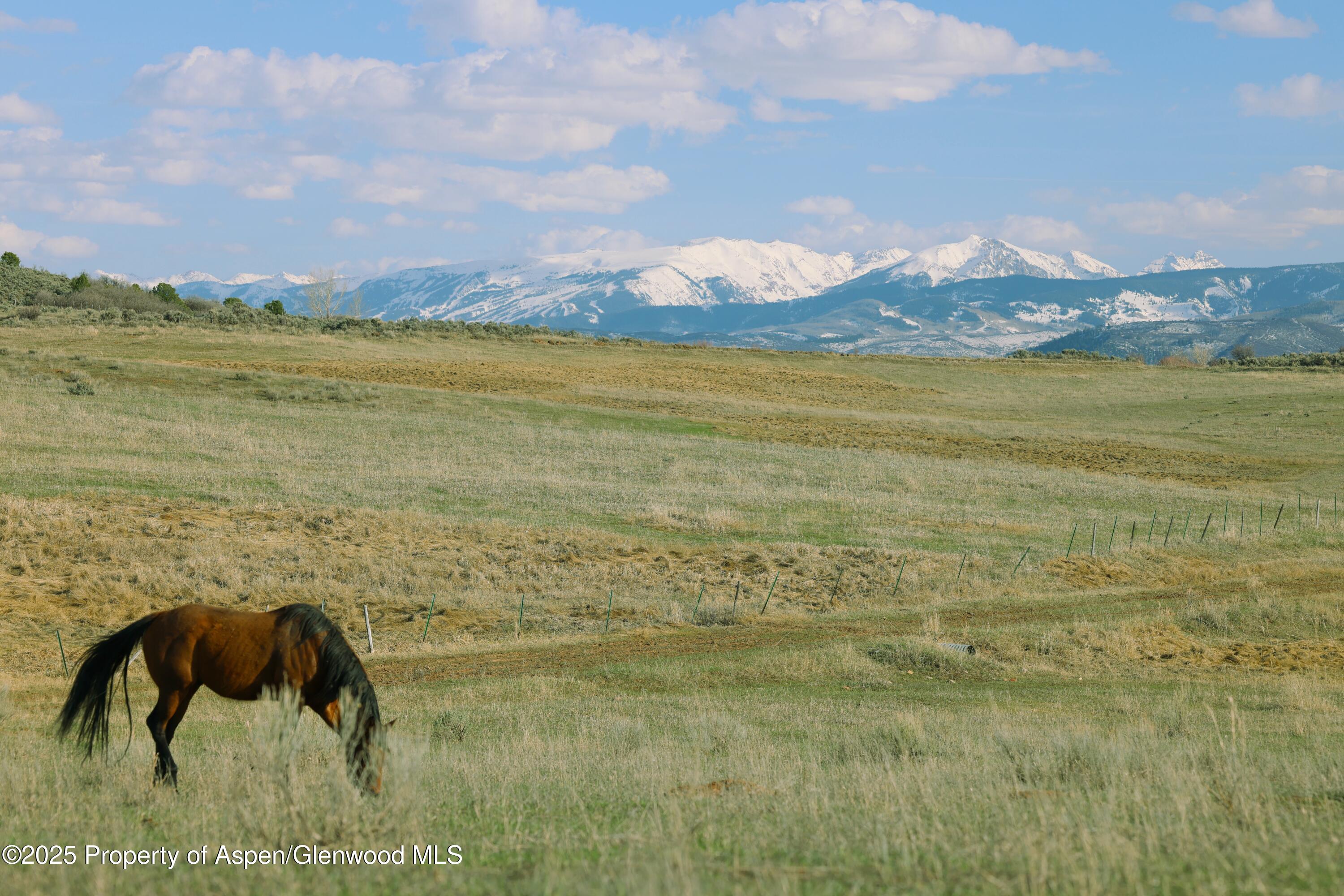 Tbd County Road 100 Carbondale CO 81623