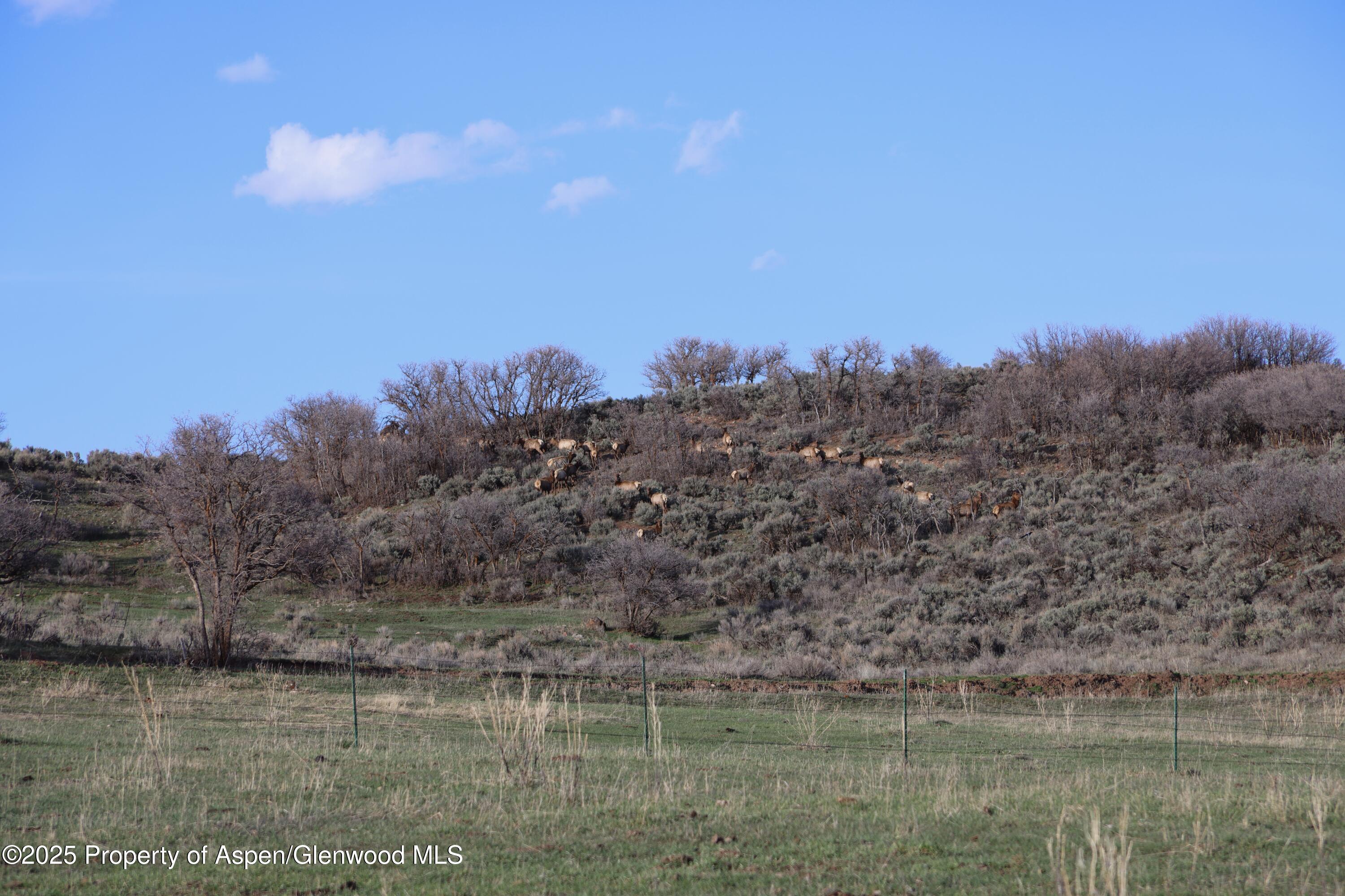 Tbd County Road 100 Carbondale CO 81623