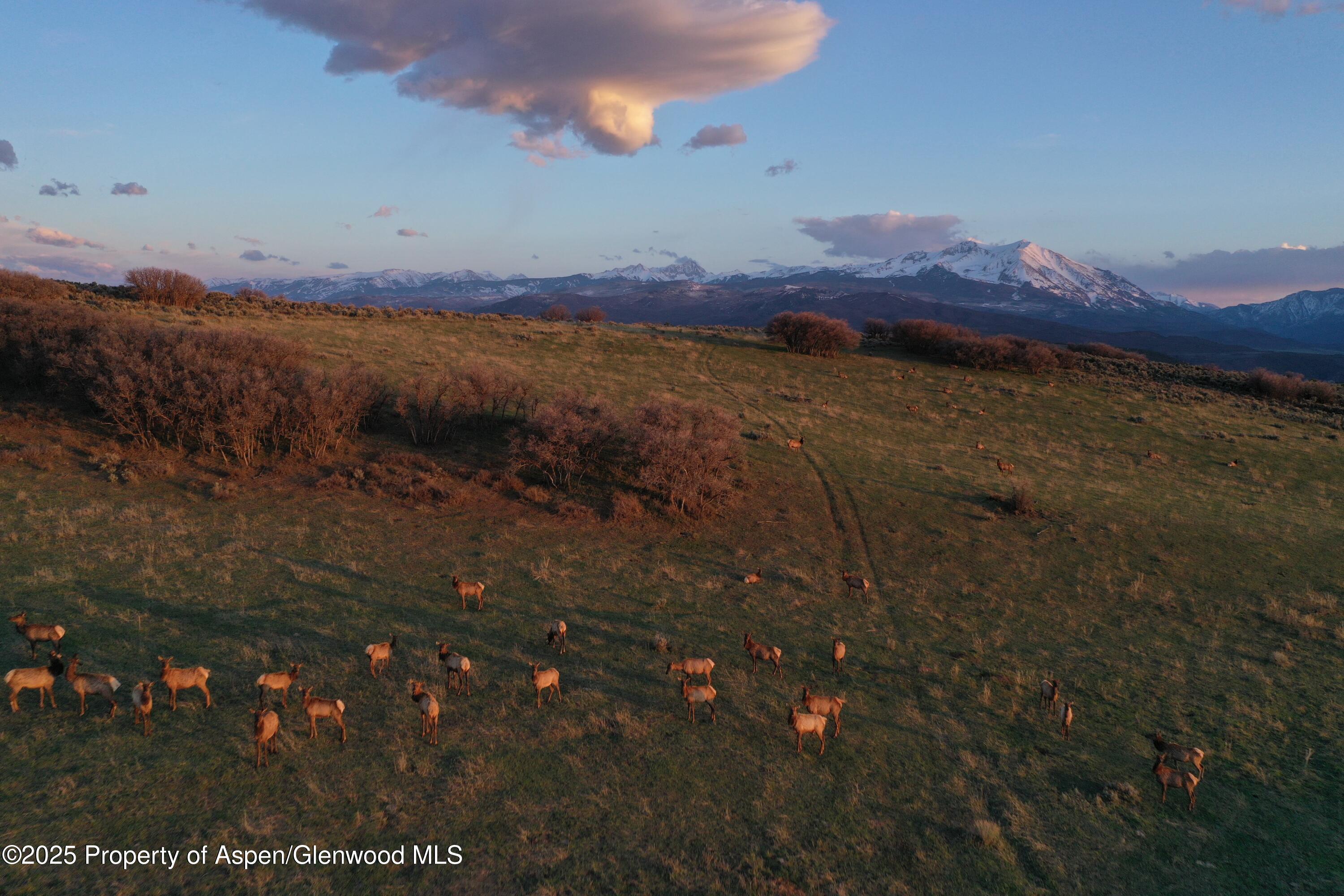 Tbd County Road 100 Carbondale CO 81623