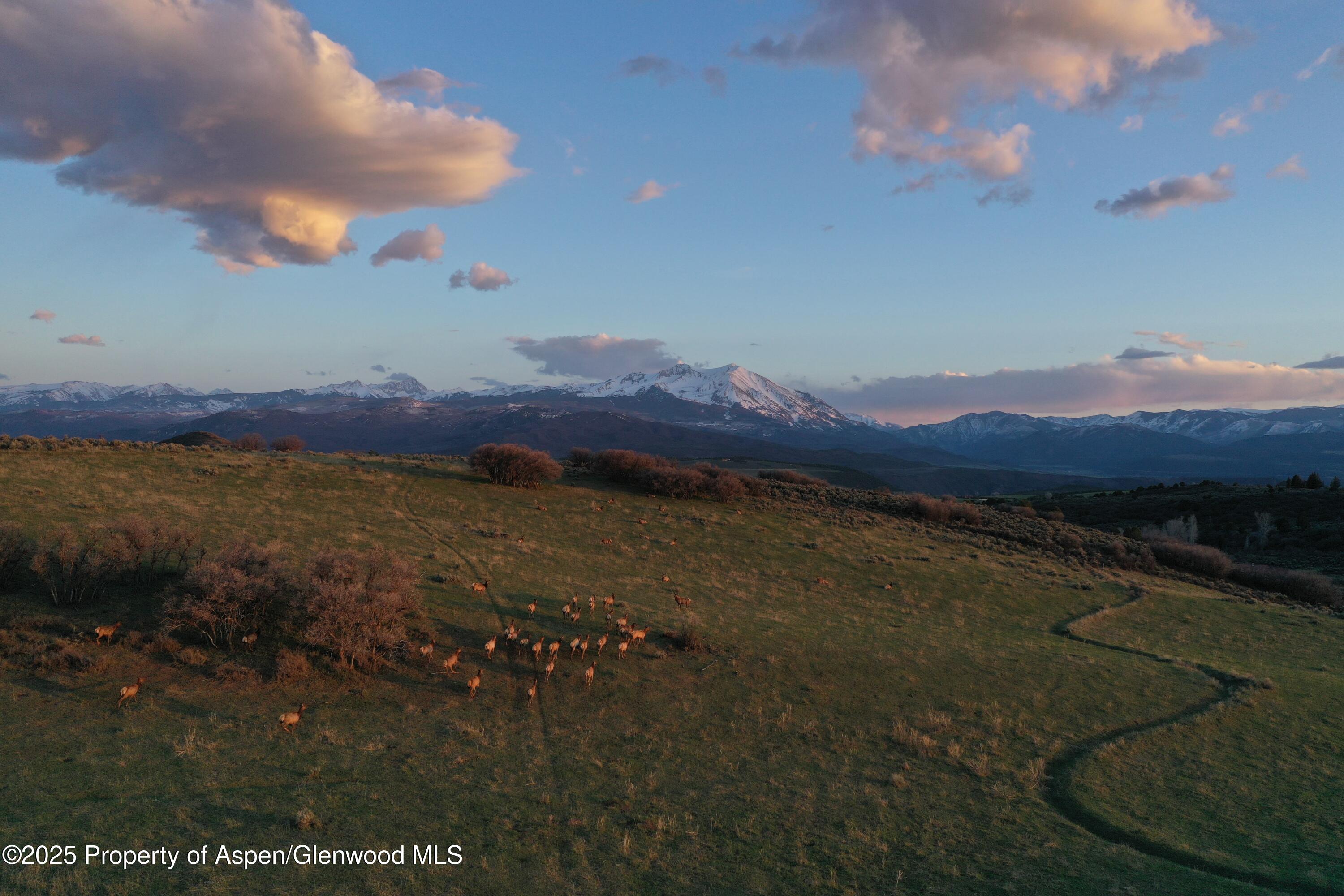 Tbd County Road 100 Carbondale CO 81623