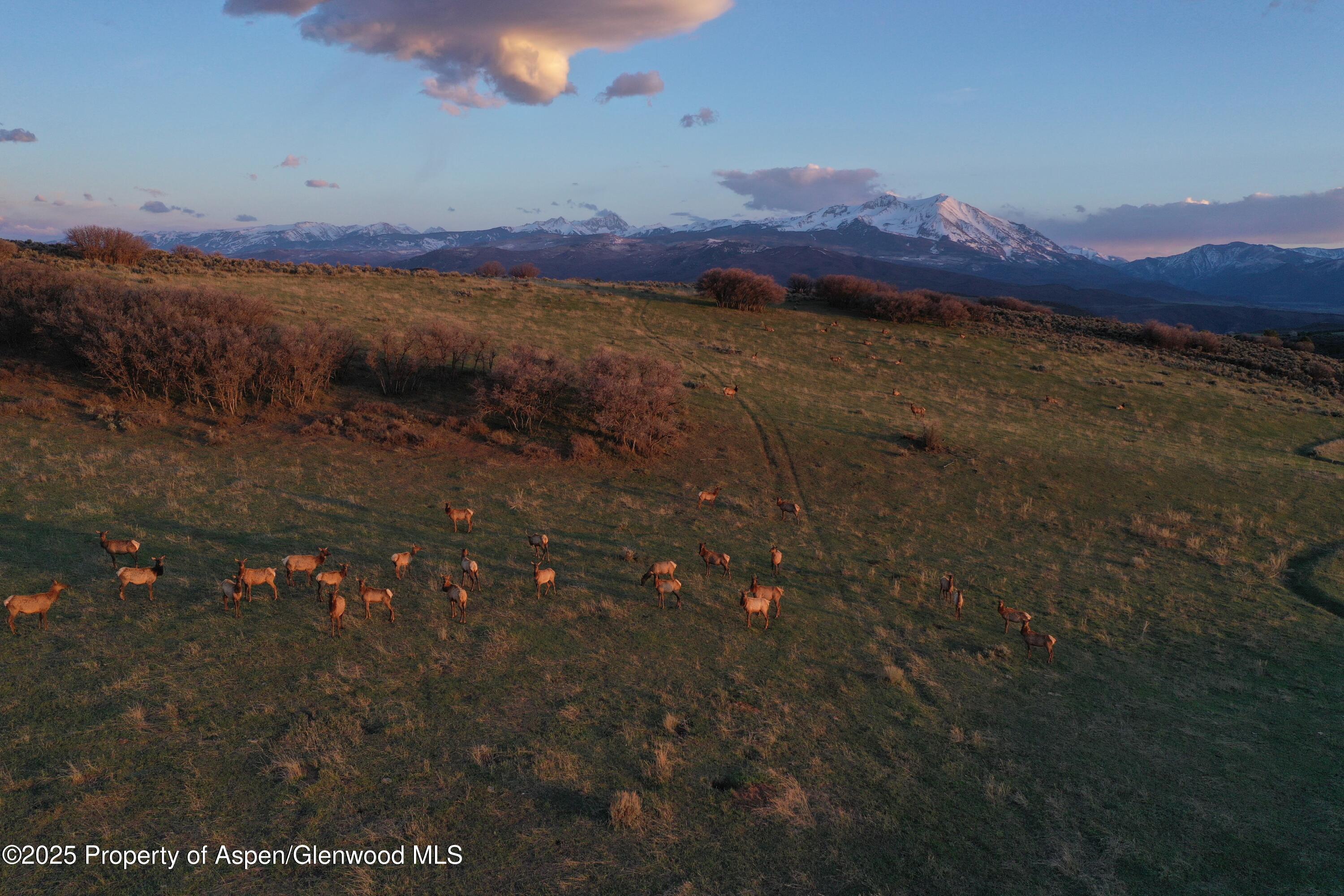 Tbd County Road 100 Carbondale CO 81623