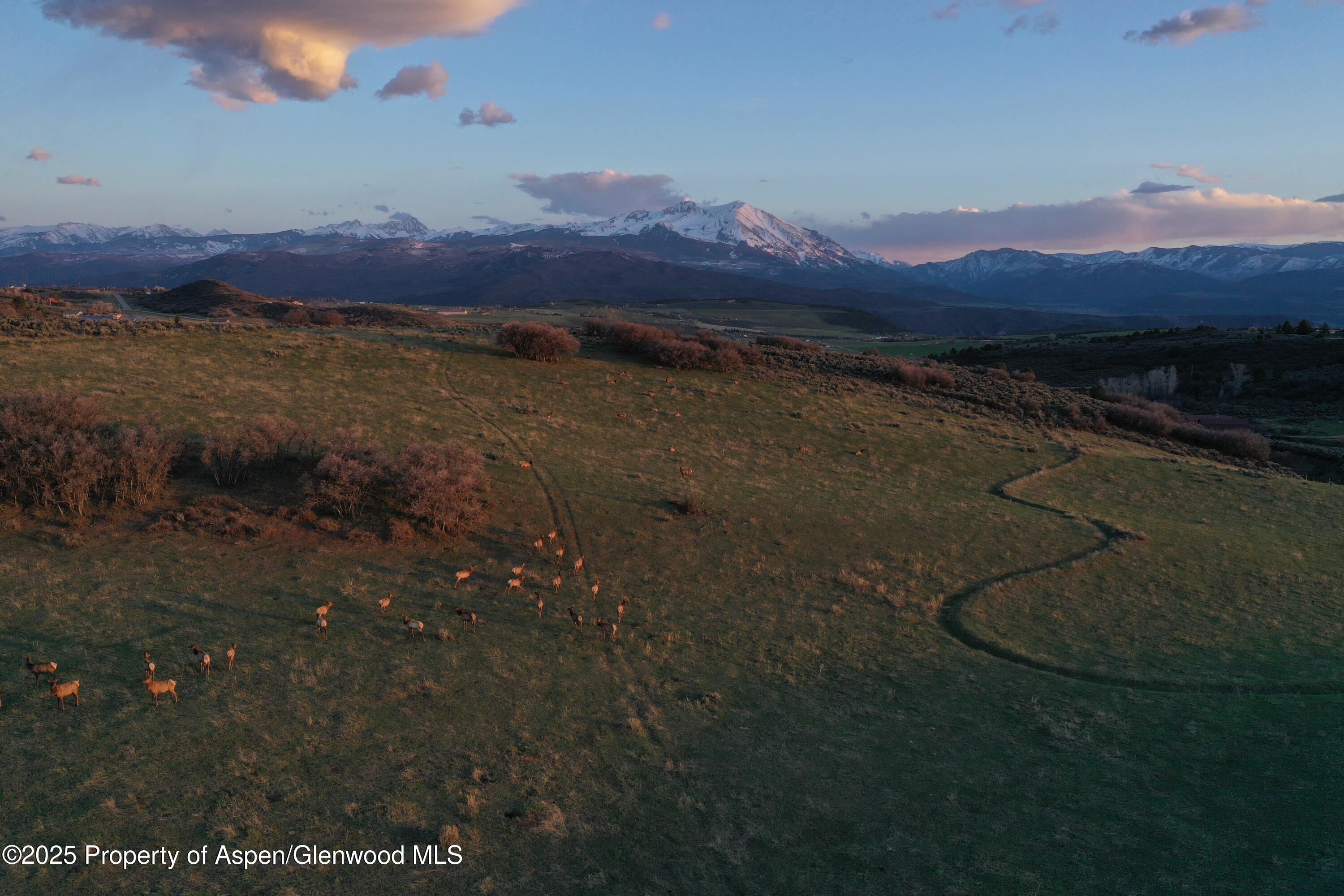 Tbd County Road 100 Carbondale CO 81623