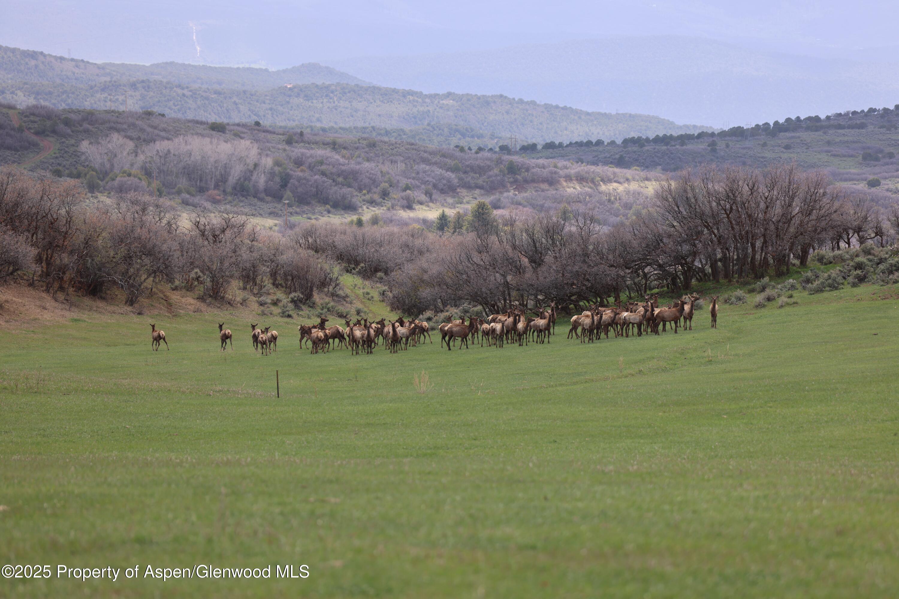 Tbd County Road 100 Carbondale CO 81623