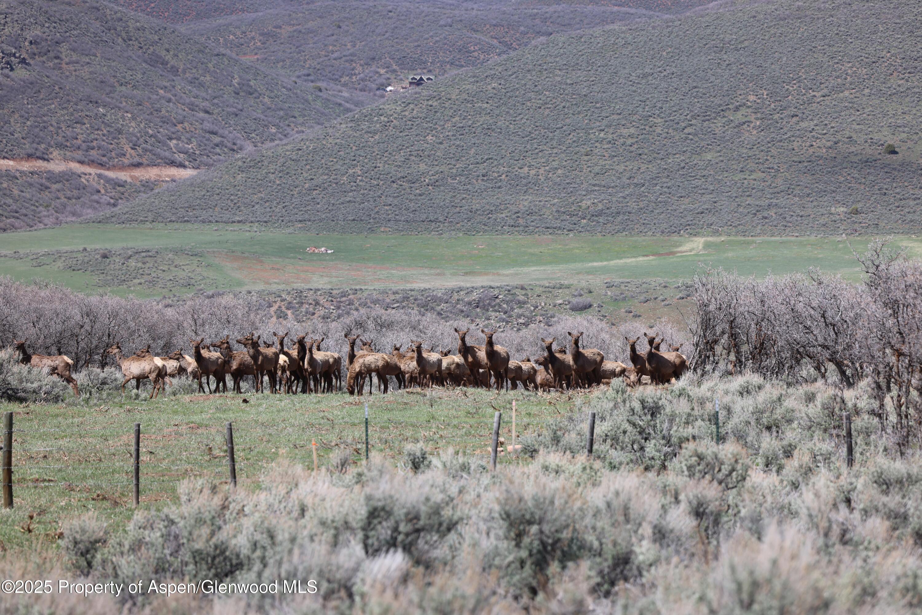Tbd County Road 100 Carbondale CO 81623