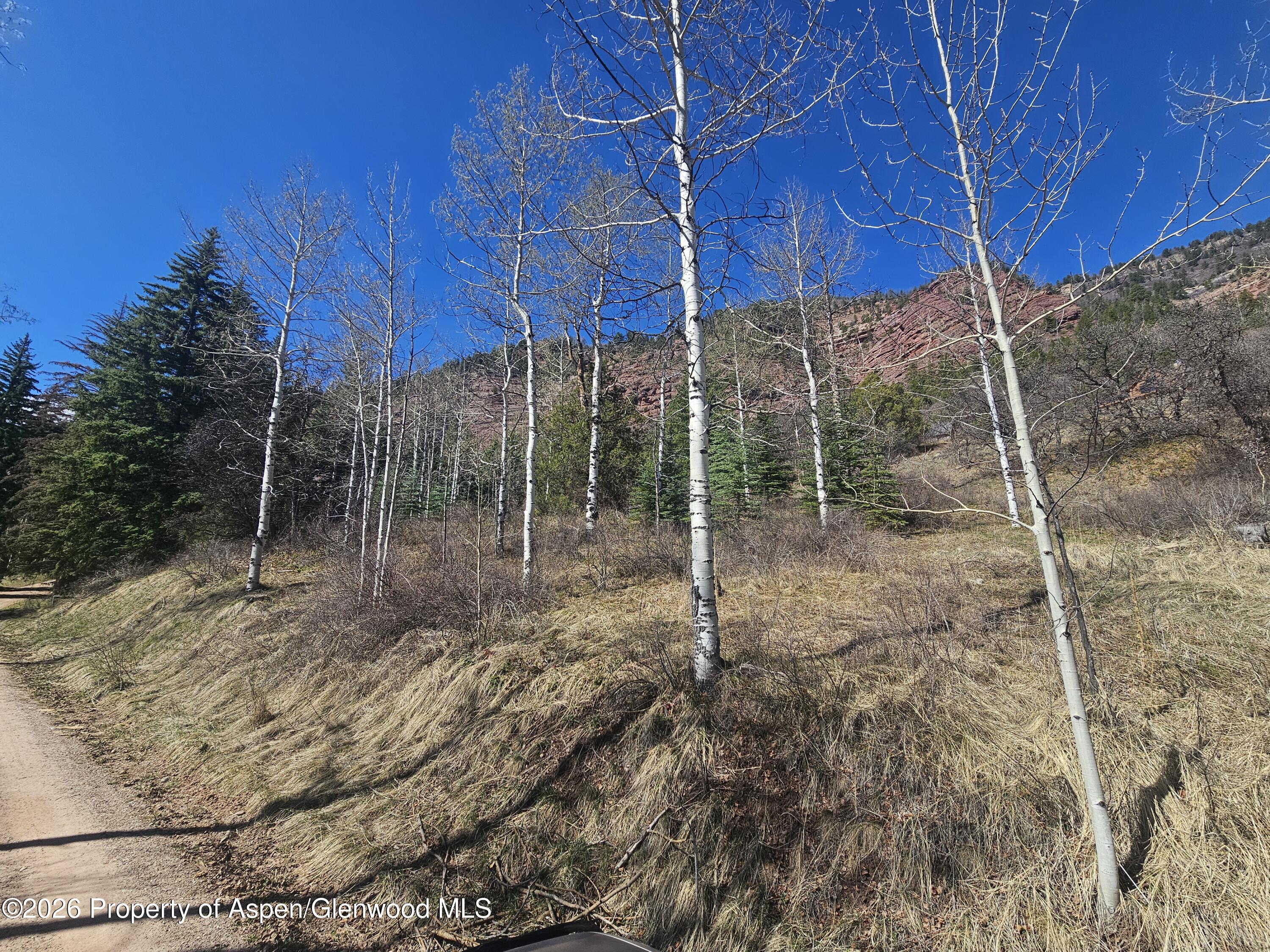 Redstone CO, Tbd Bear Creek Lane