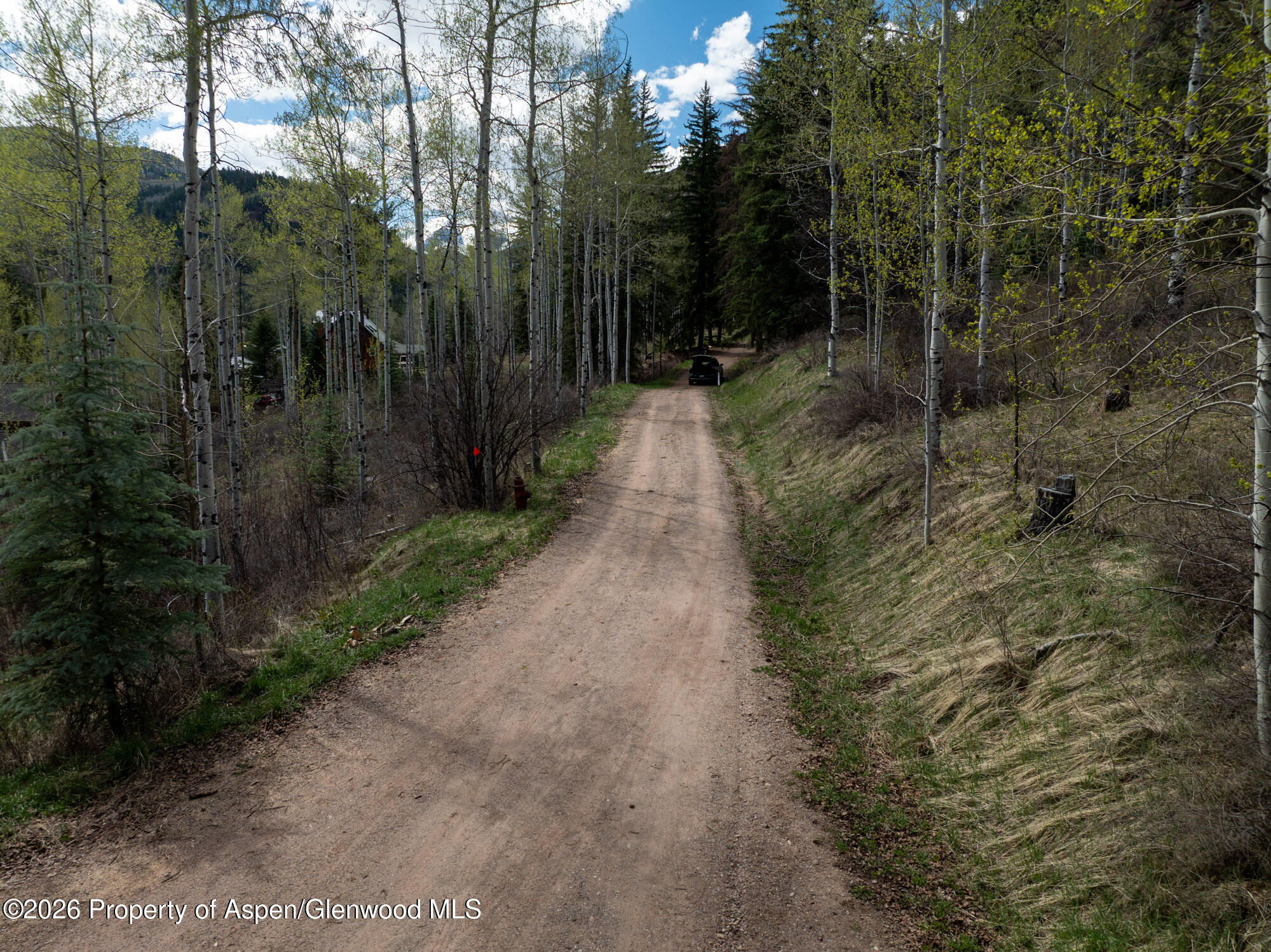 Tbd Bear Creek Lane Redstone CO 81623