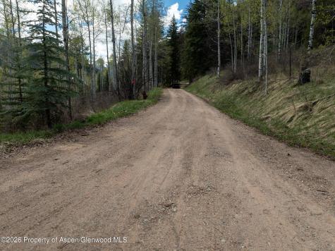 Tbd Bear Creek Lane Redstone CO 81623