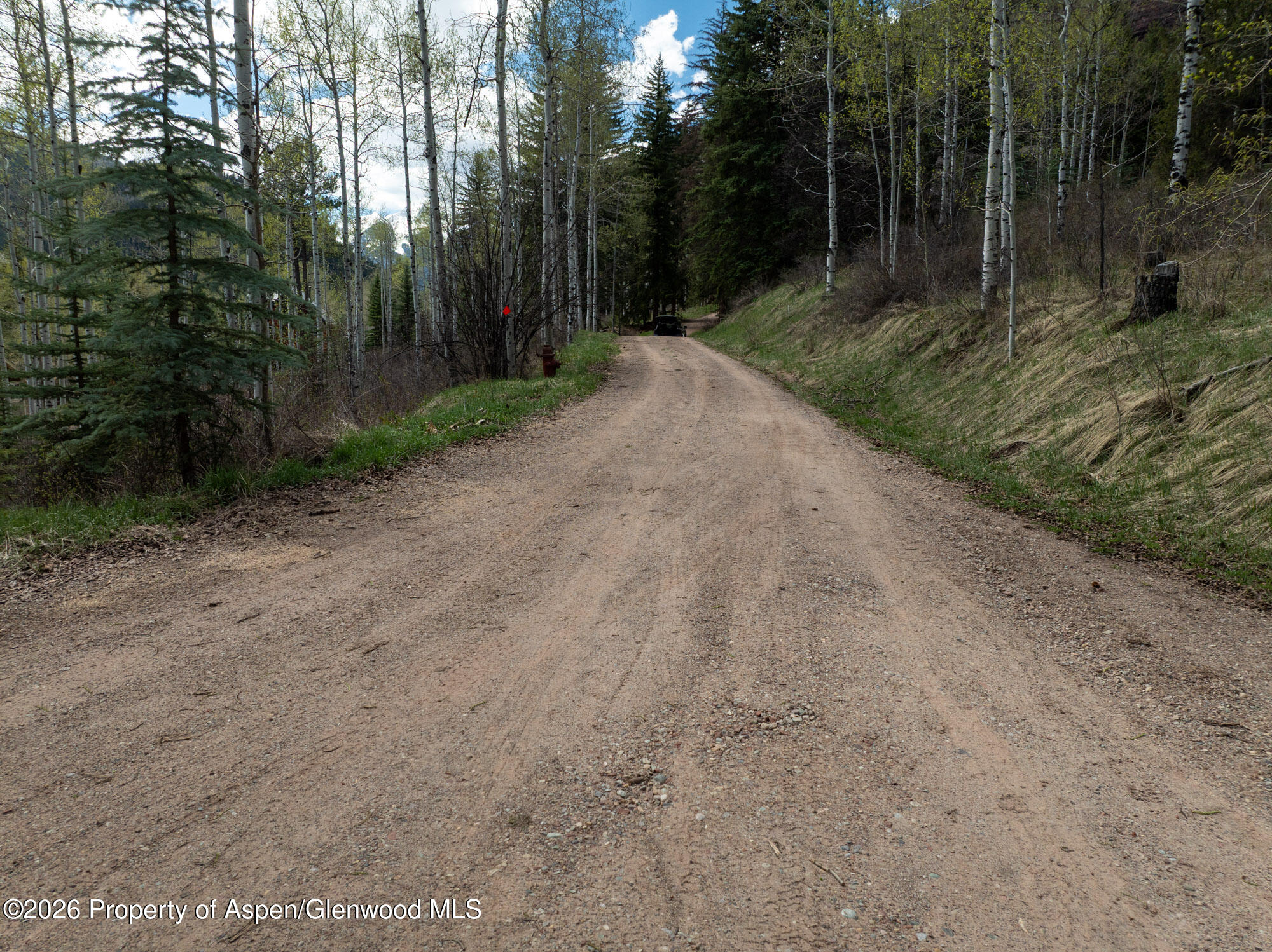 Tbd Bear Creek Lane Redstone CO 81623