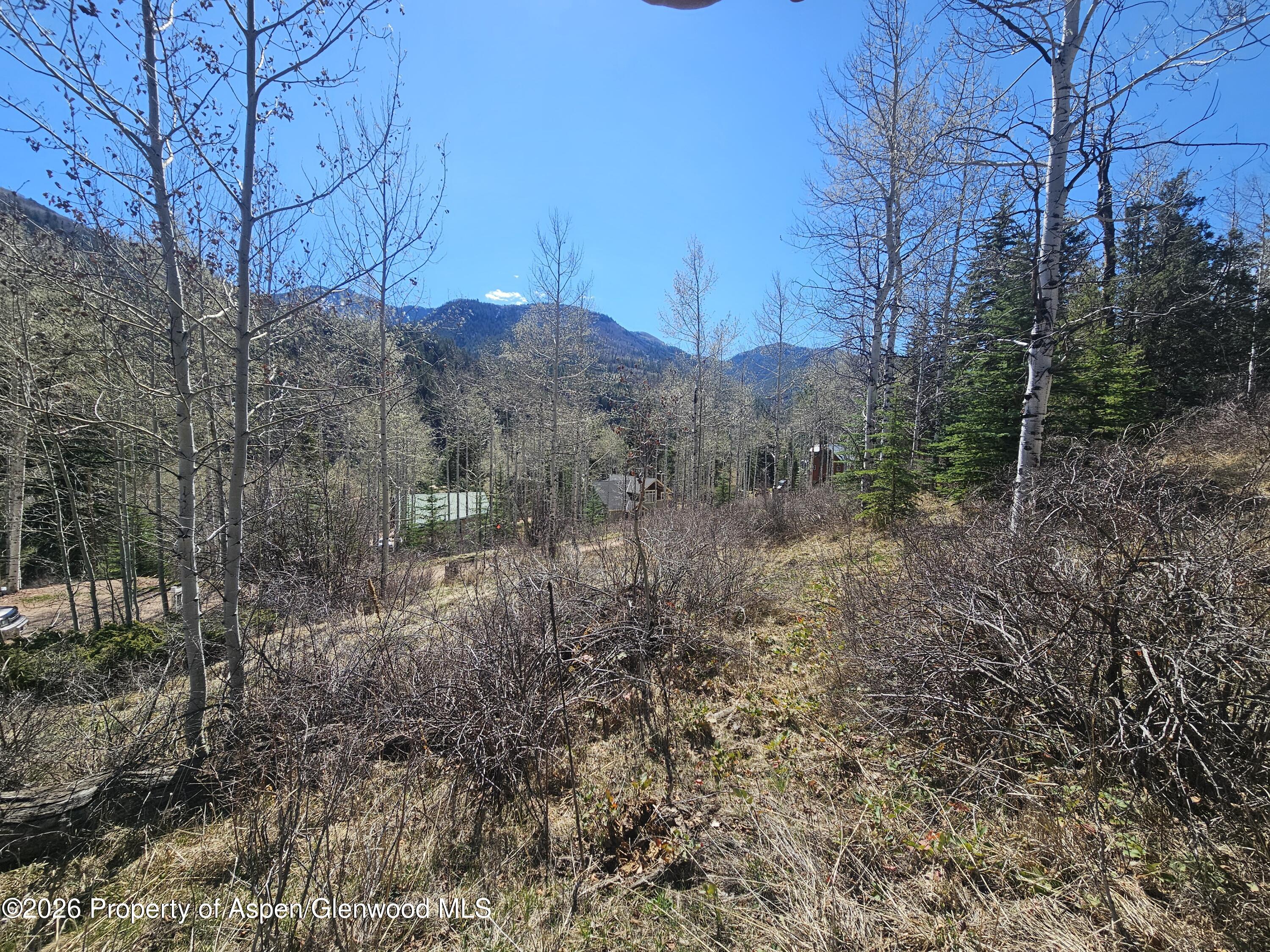Tbd Bear Creek Lane Redstone CO 81623