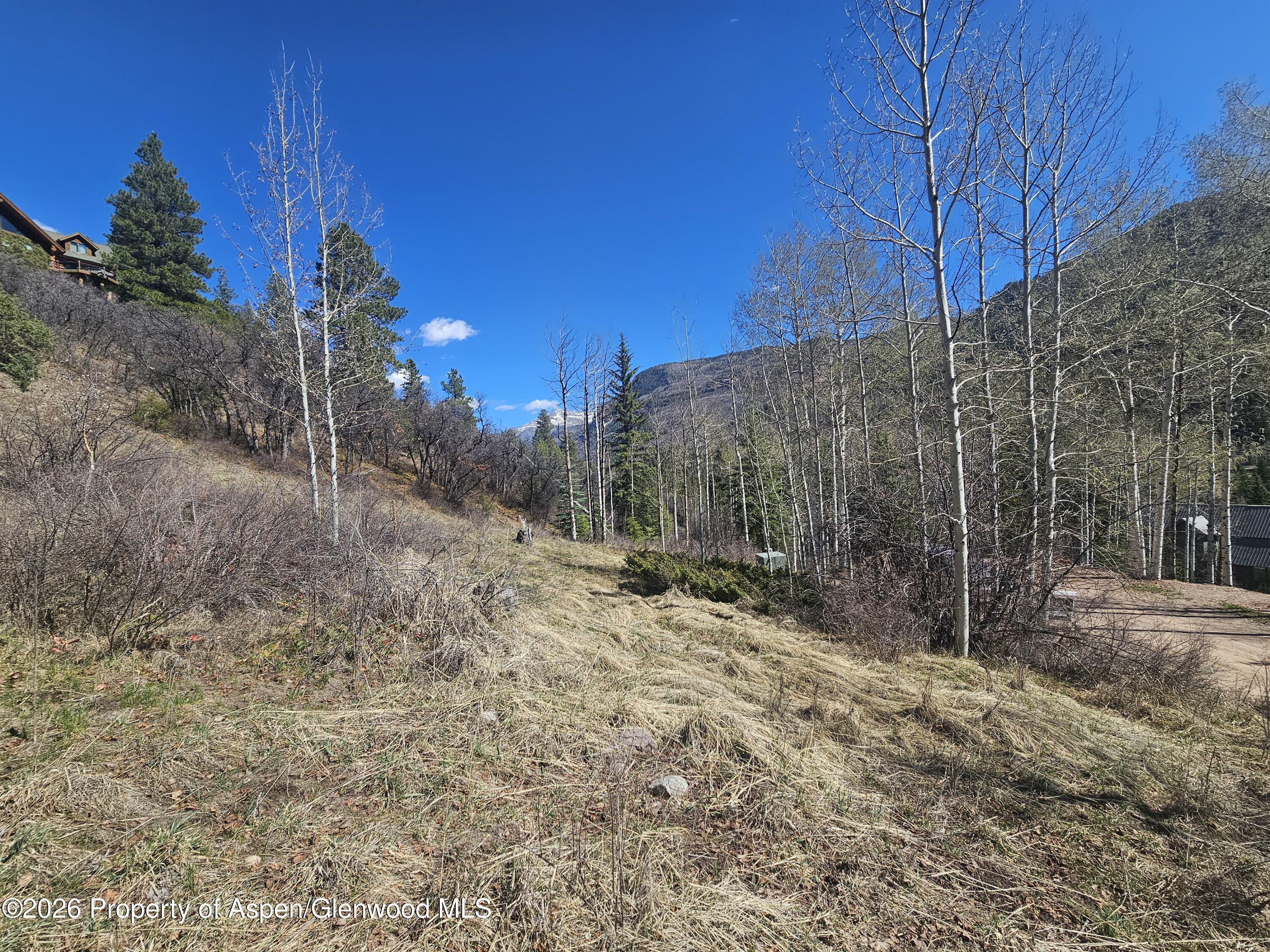 Tbd Bear Creek Lane Redstone CO 81623