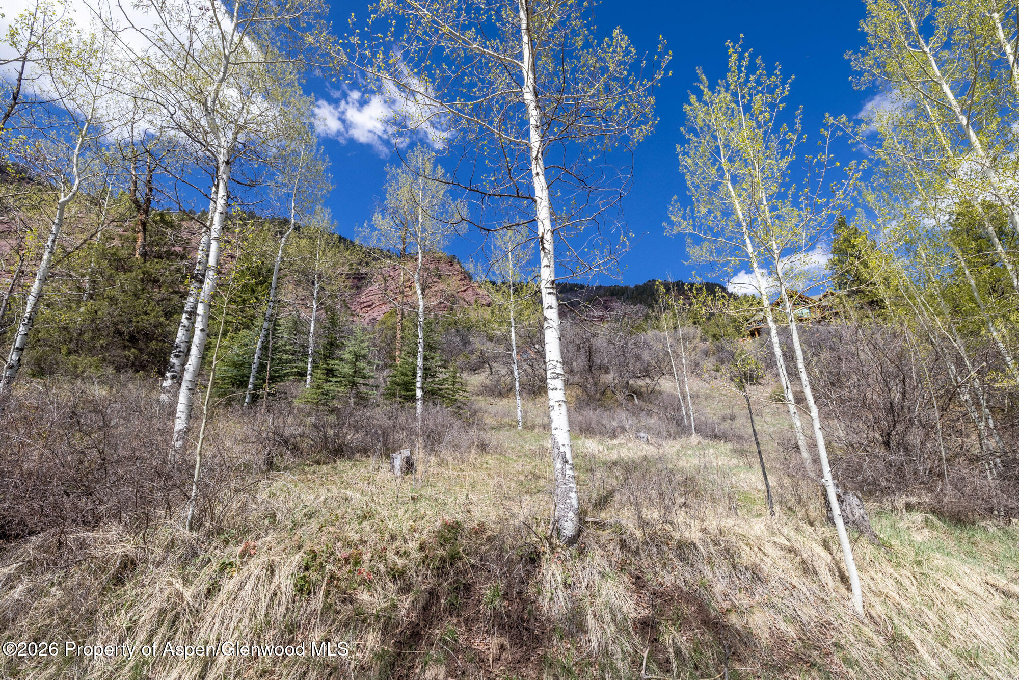 Tbd Bear Creek Lane Redstone CO 81623