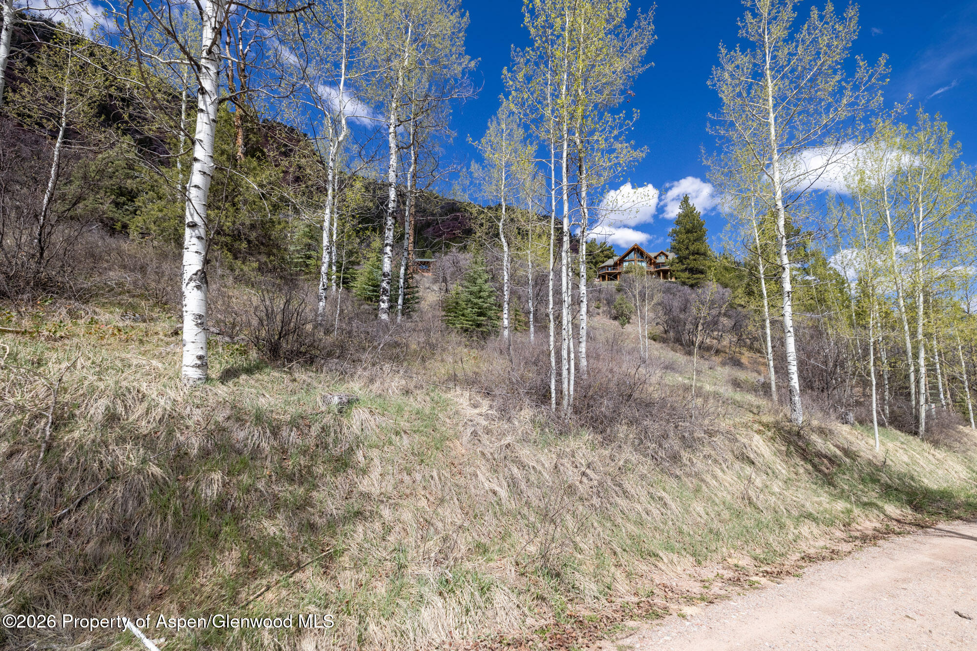 Tbd Bear Creek Lane Redstone CO 81623