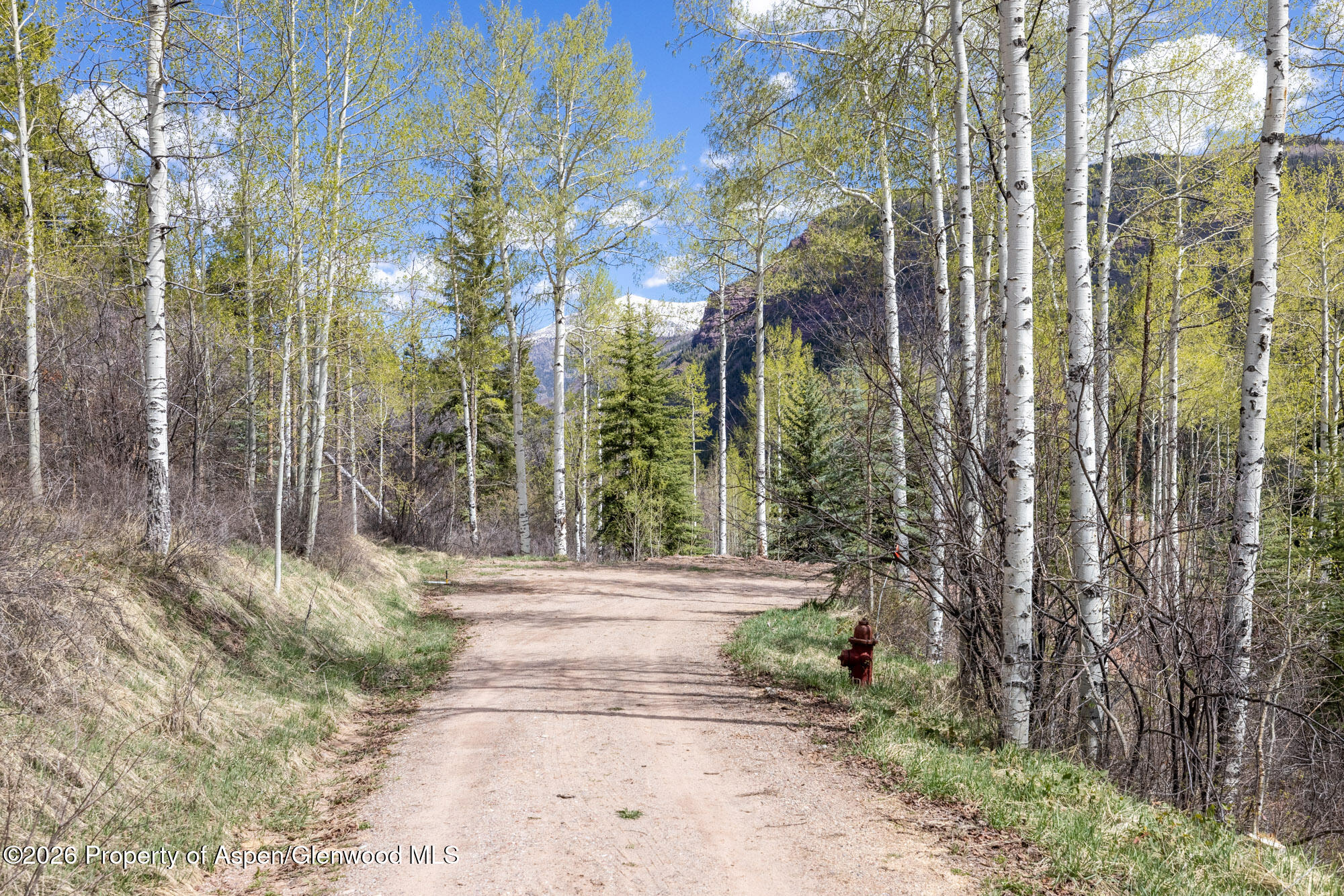 Tbd Bear Creek Lane Redstone CO 81623