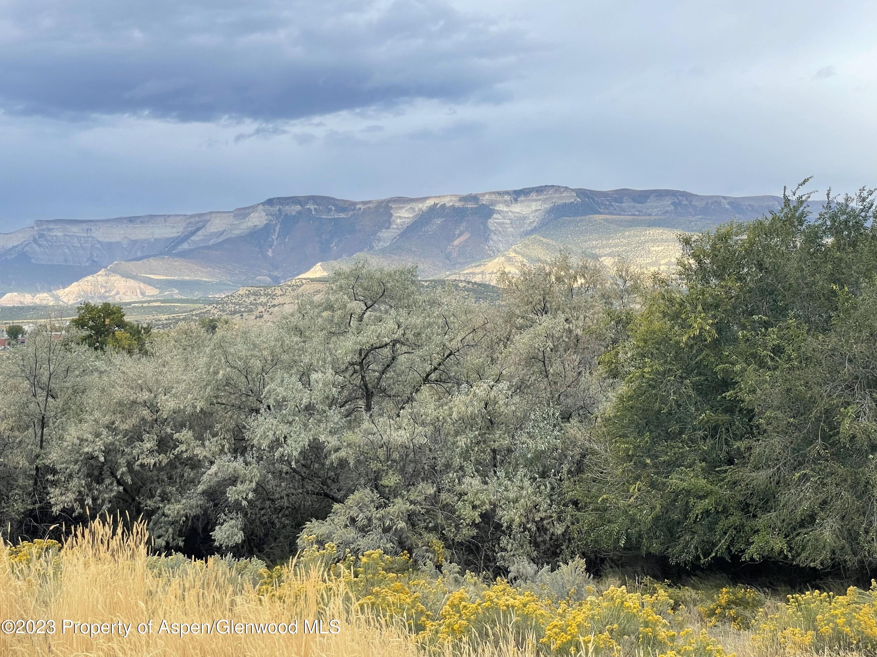 1345 Clover Court Rifle CO 81650