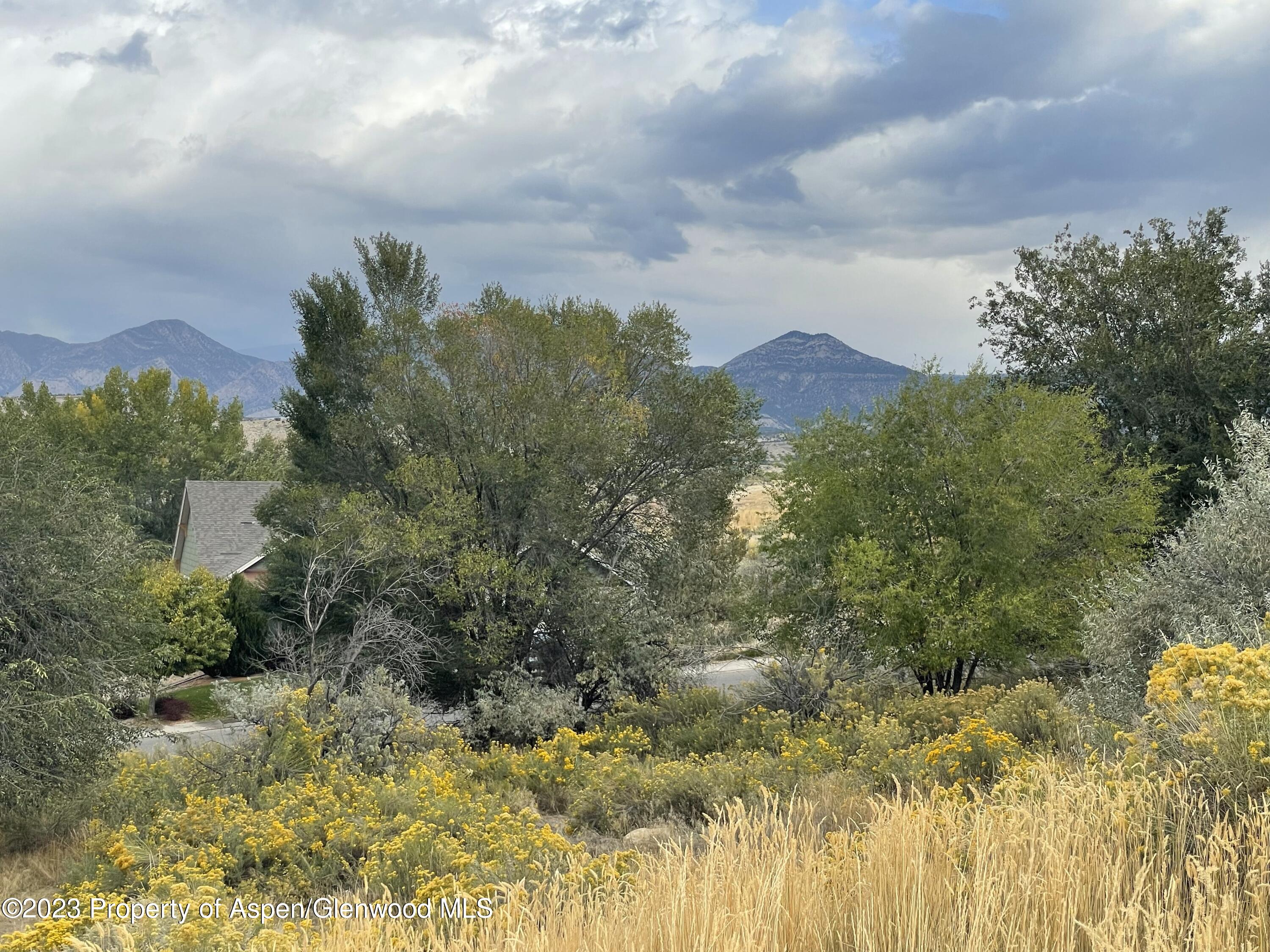 1345 Clover Court Rifle CO 81650