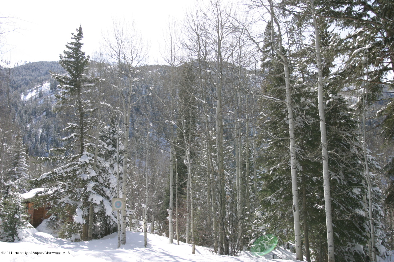 44971 Highway 82 Aspen CO 81611