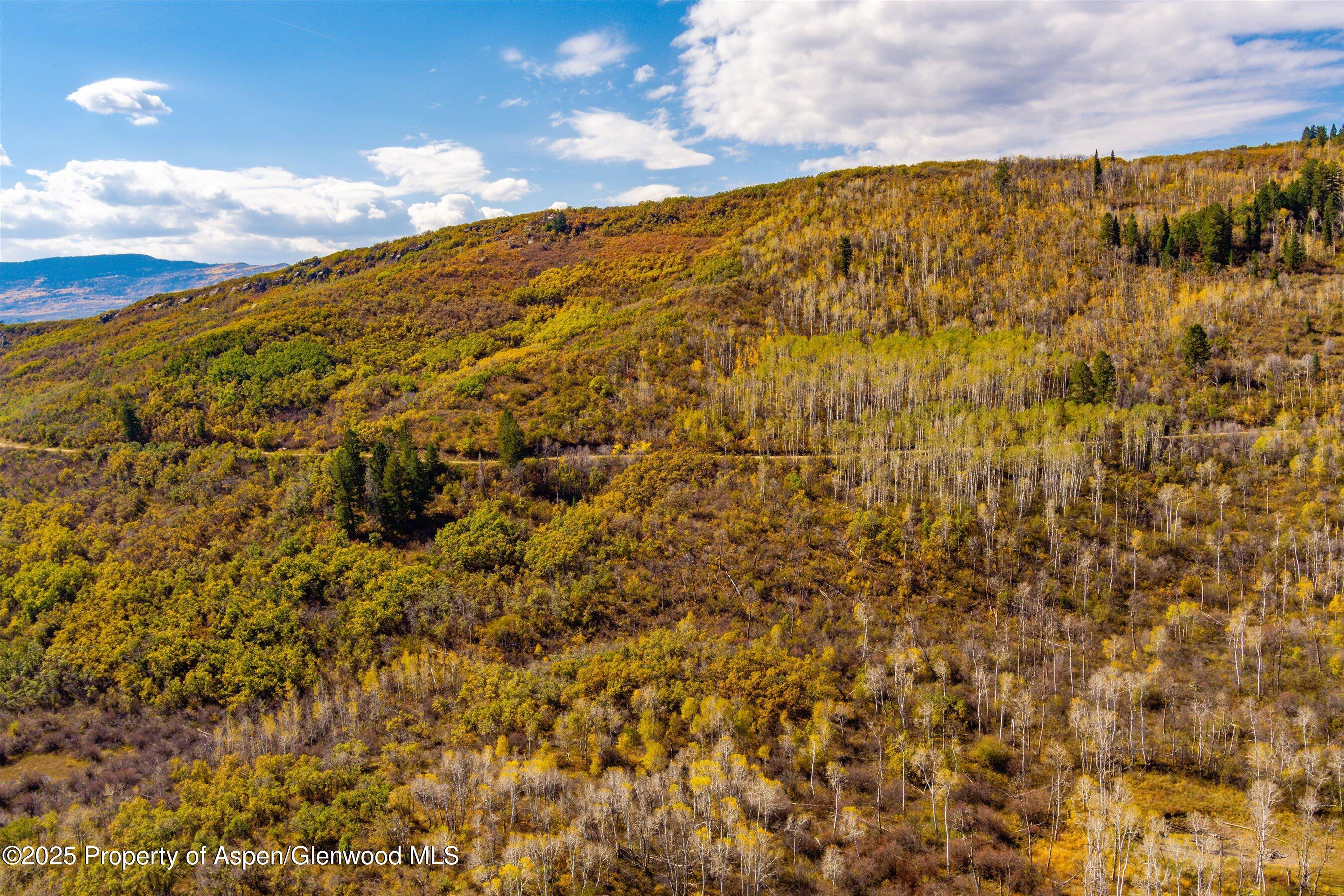 Lot 5 Bear Paw Lane Glenwood Springs CO 81601