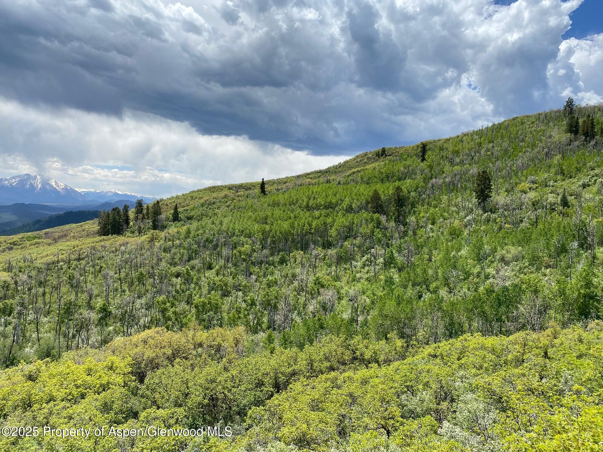 Lot 5 Bear Paw Lane Glenwood Springs CO 81601