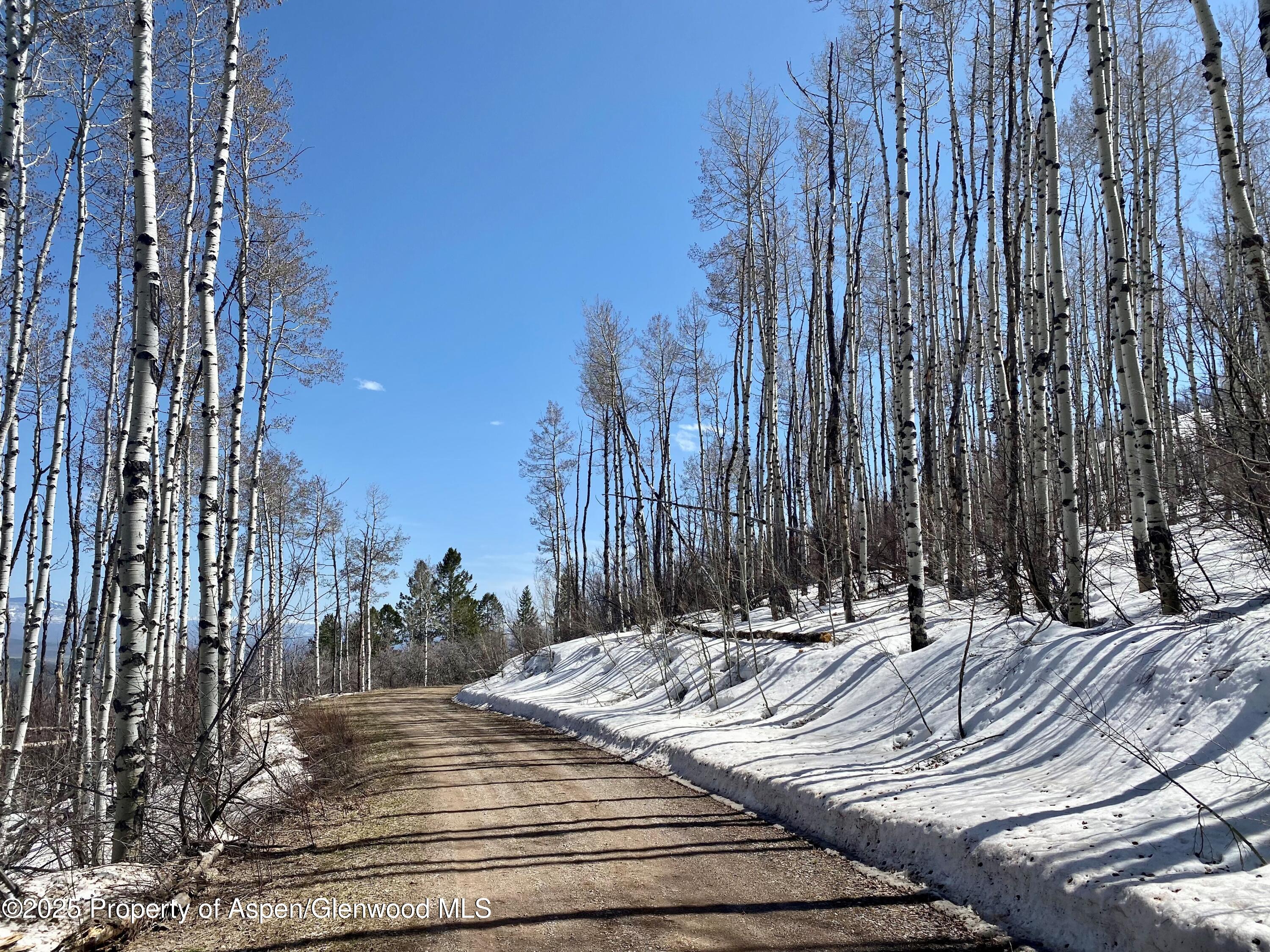 Lot 5 Bear Paw Lane Glenwood Springs CO 81601