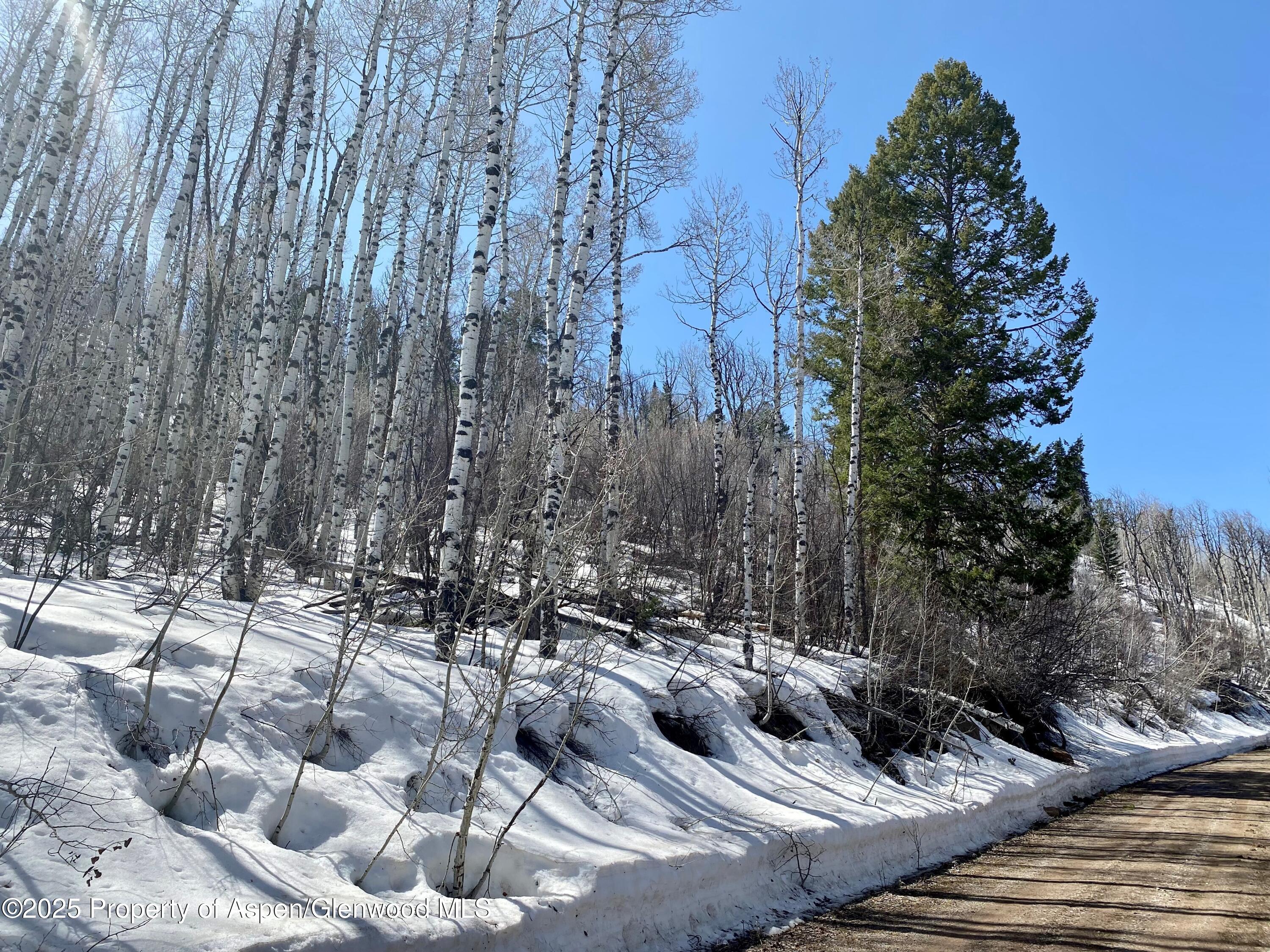 Lot 5 Bear Paw Lane Glenwood Springs CO 81601