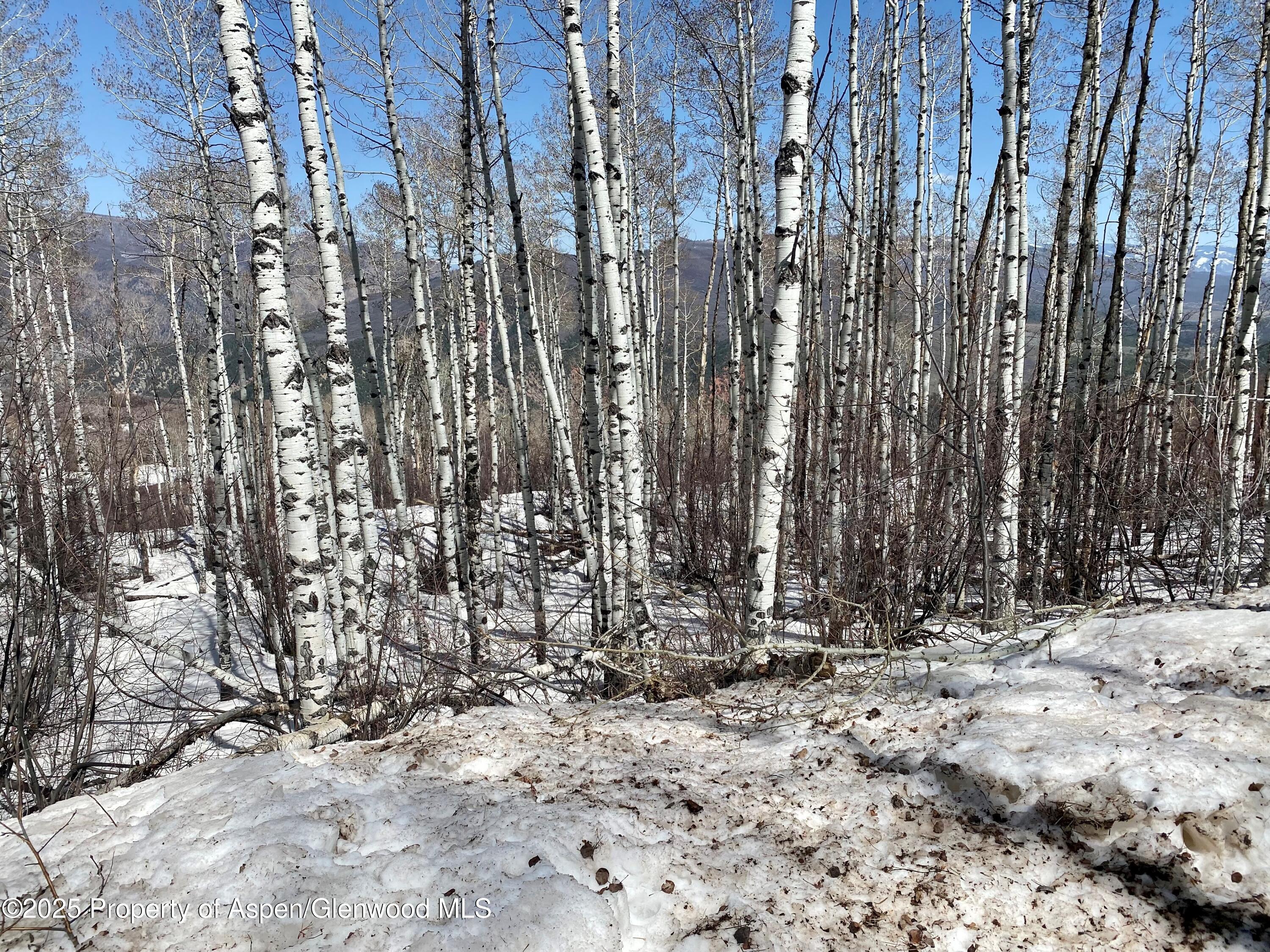 Lot 5 Bear Paw Lane Glenwood Springs CO 81601