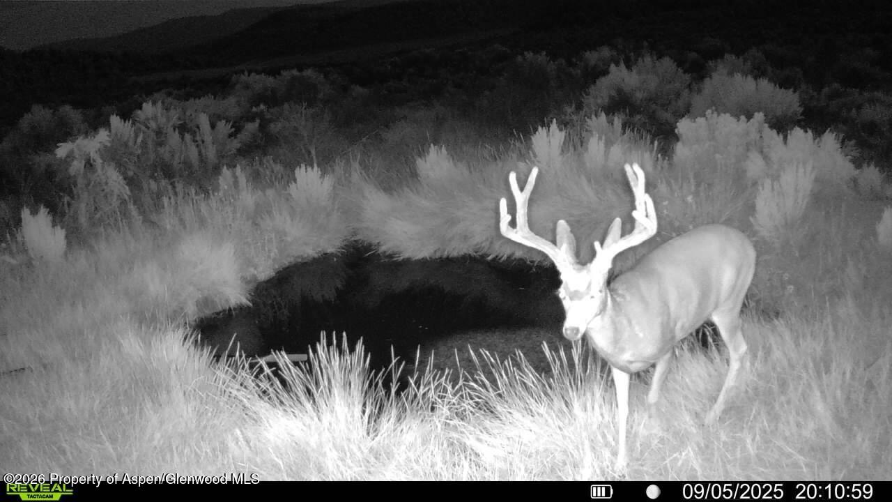 Tbd Cr 7 Meeker CO 81641