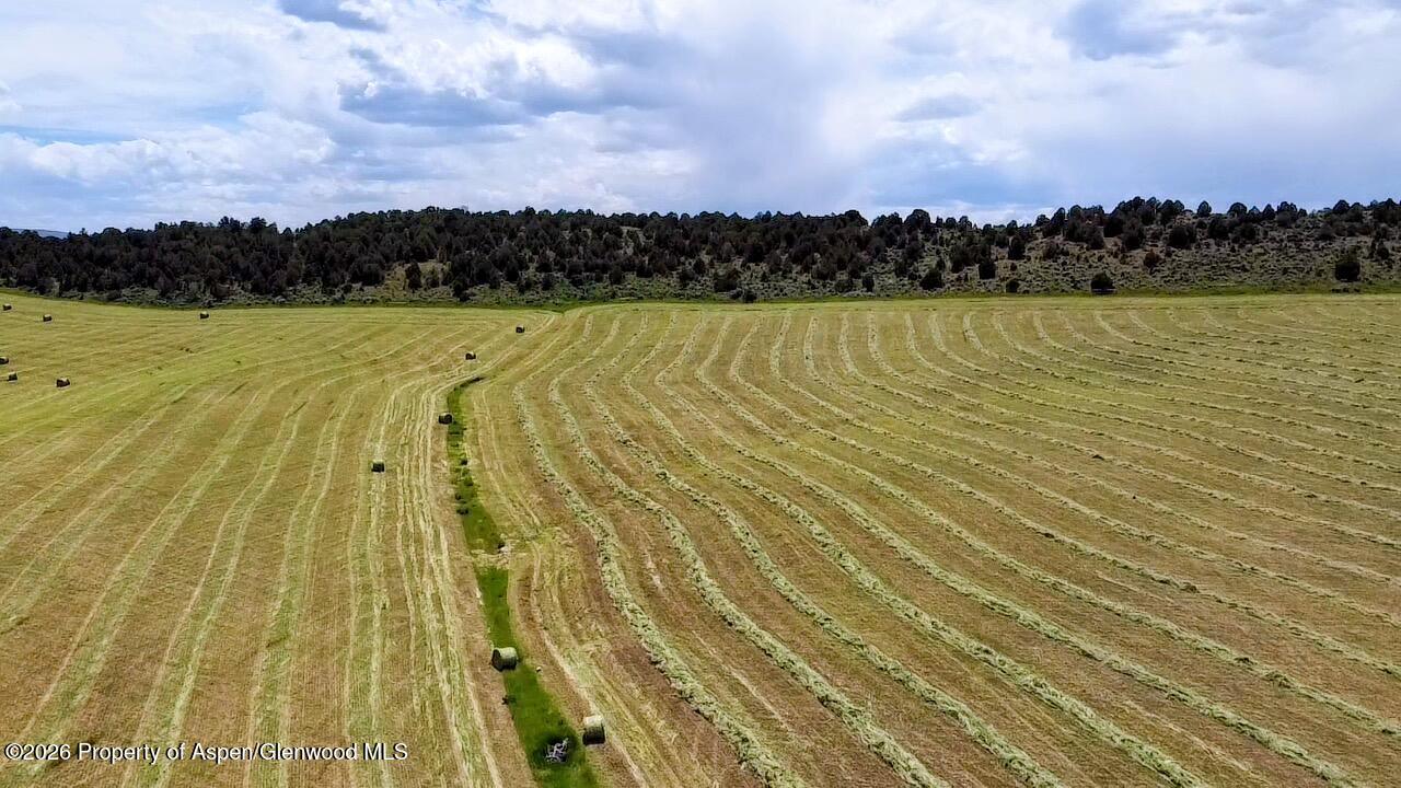 Tbd Cr 7 Meeker CO 81641