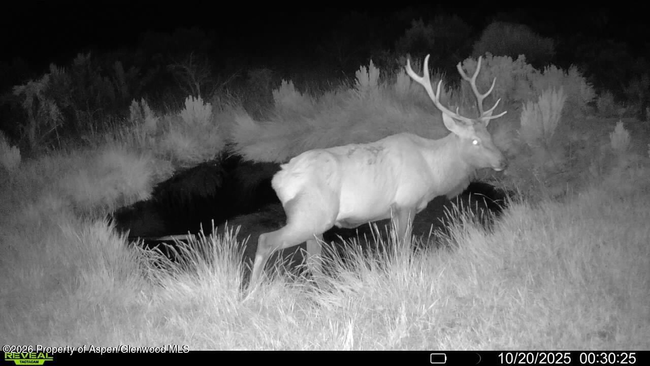 Tbd Cr 7 Meeker CO 81641