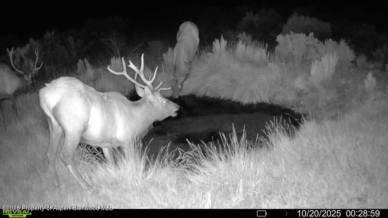 Tbd Cr 7 Meeker CO 81641