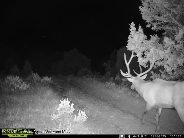 Tbd Cr 7 Meeker CO 81641