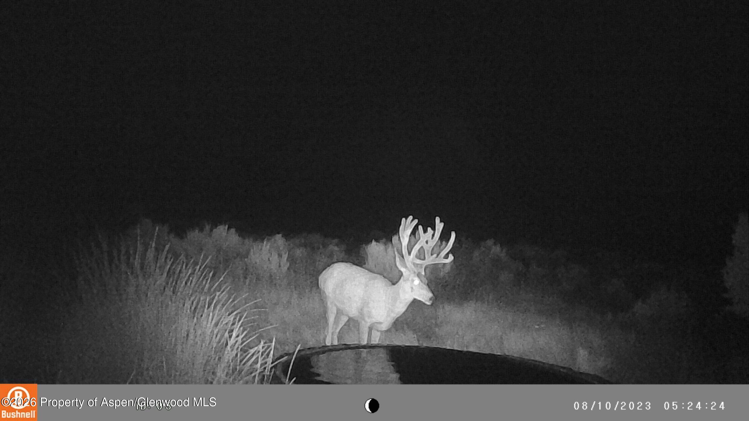 Tbd Cr 7 Meeker CO 81641