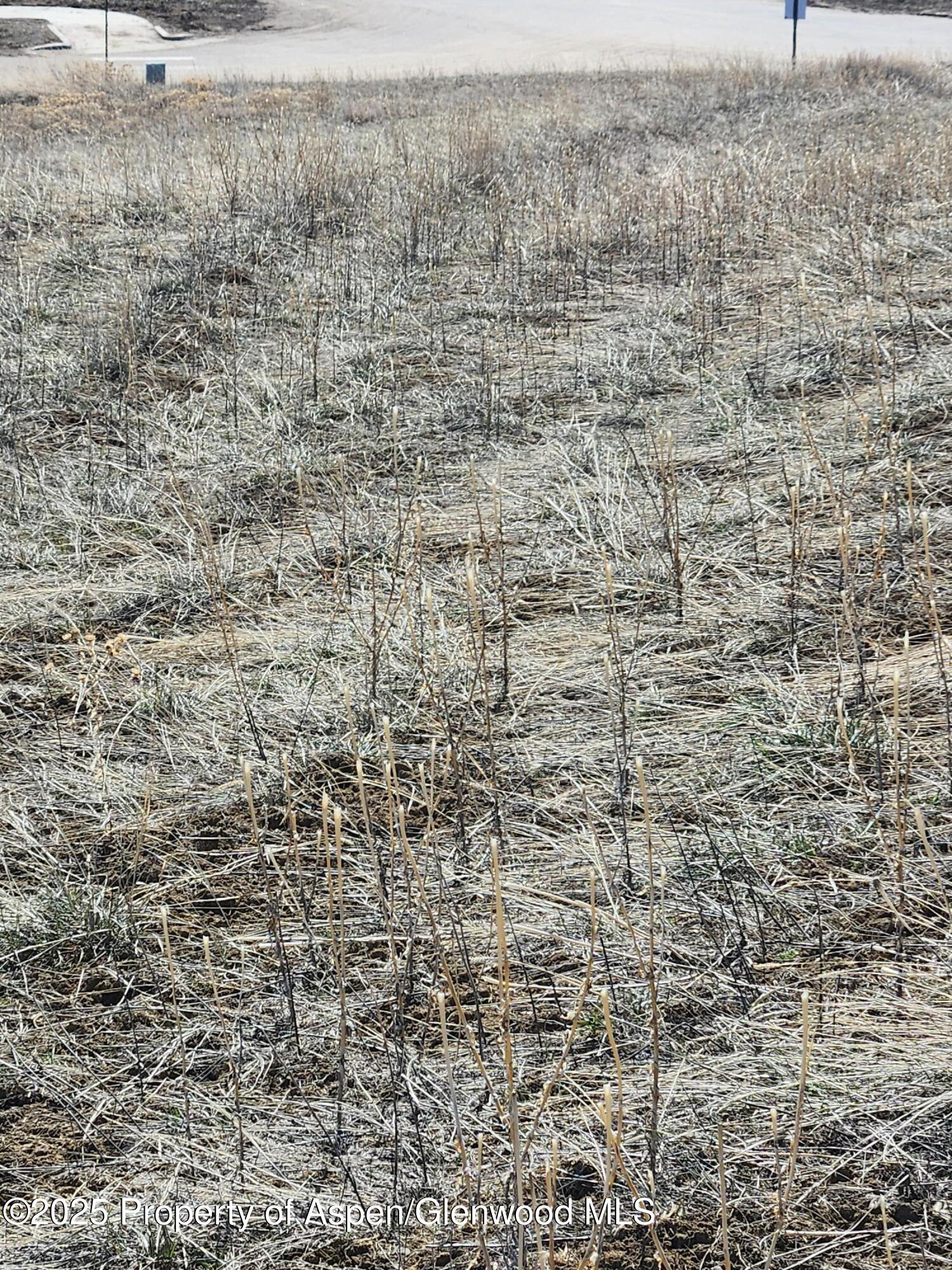 Tbd Crescent Drive & Riford Road Craig CO 81625