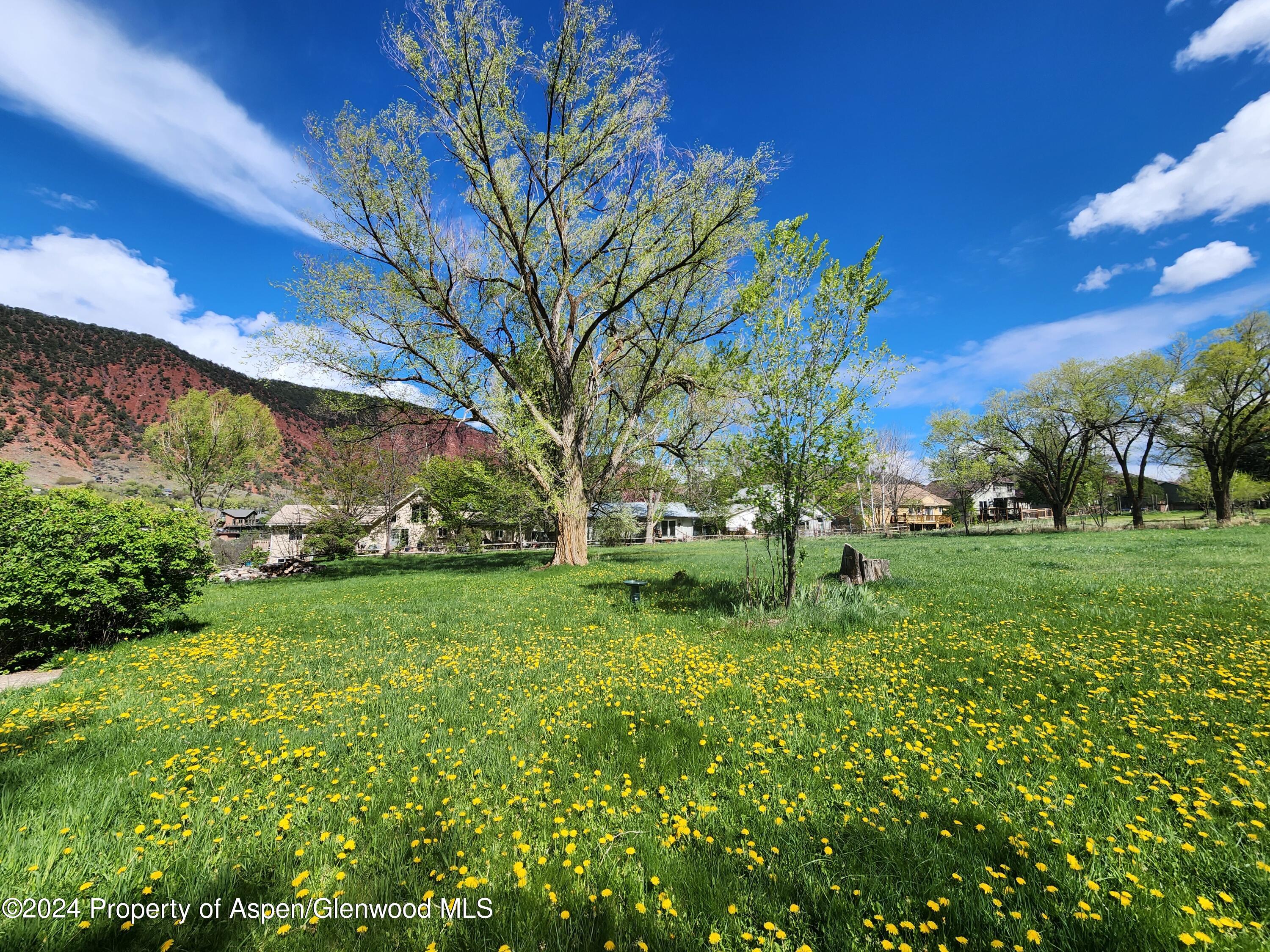 102 Co Road 156 Glenwood Springs CO 81601