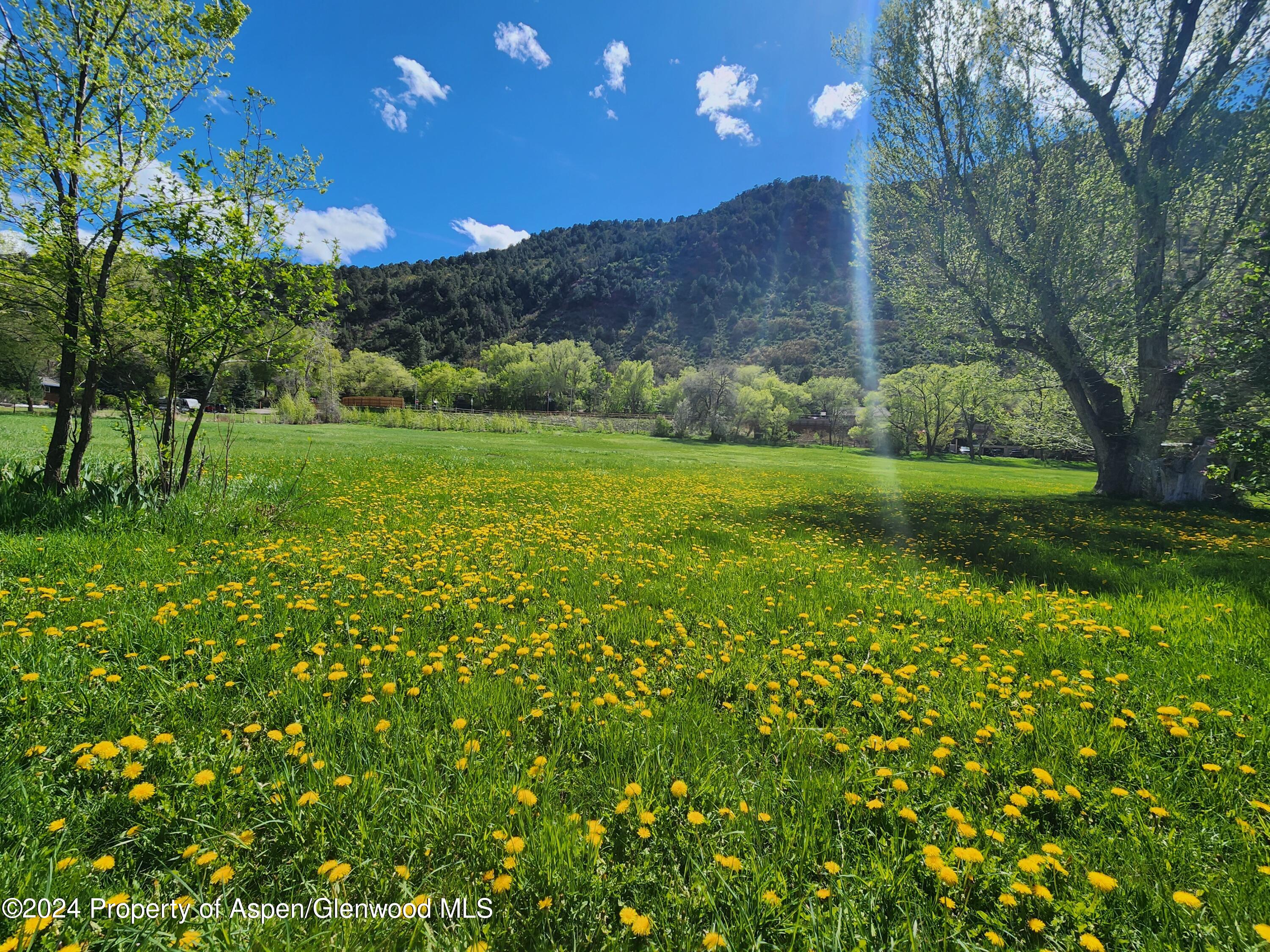 102 Co Road 156 Glenwood Springs CO 81601