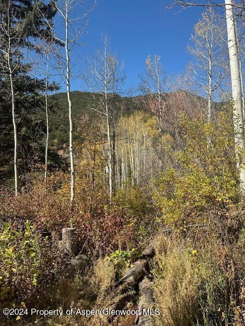 349 Crystal Circle Carbondale CO 81623