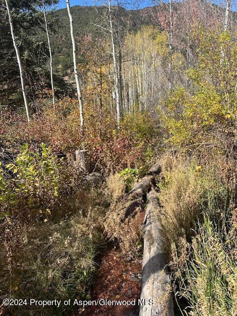 349 Crystal Circle Carbondale CO 81623