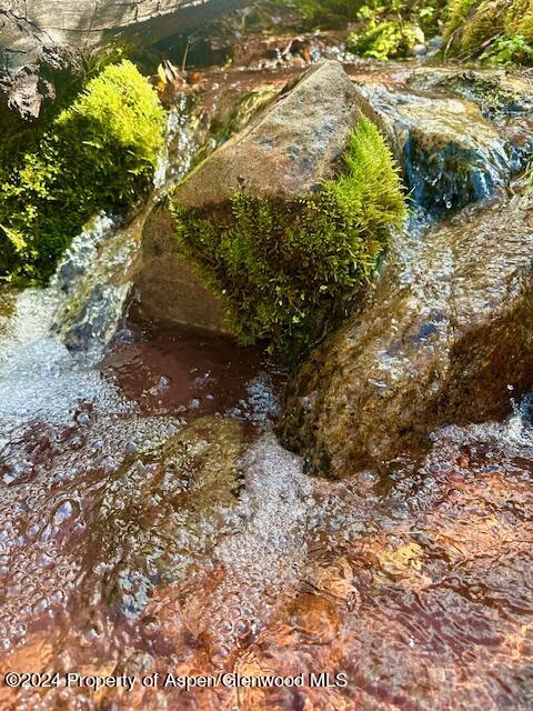 349 Crystal Circle Carbondale CO 81623