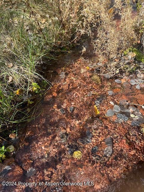 349 Crystal Circle Carbondale CO 81623