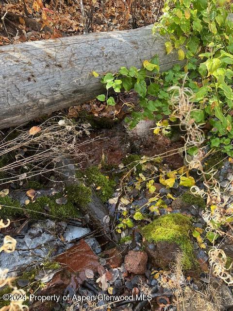 349 Crystal Circle Carbondale CO 81623