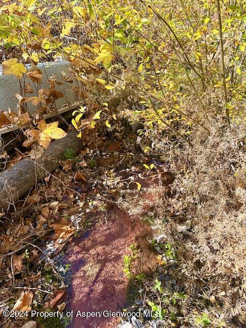 349 Crystal Circle Carbondale CO 81623